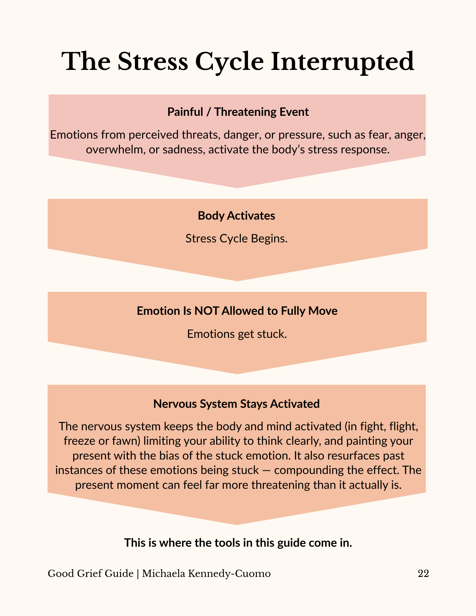 Stress Cycle Interrupted.png