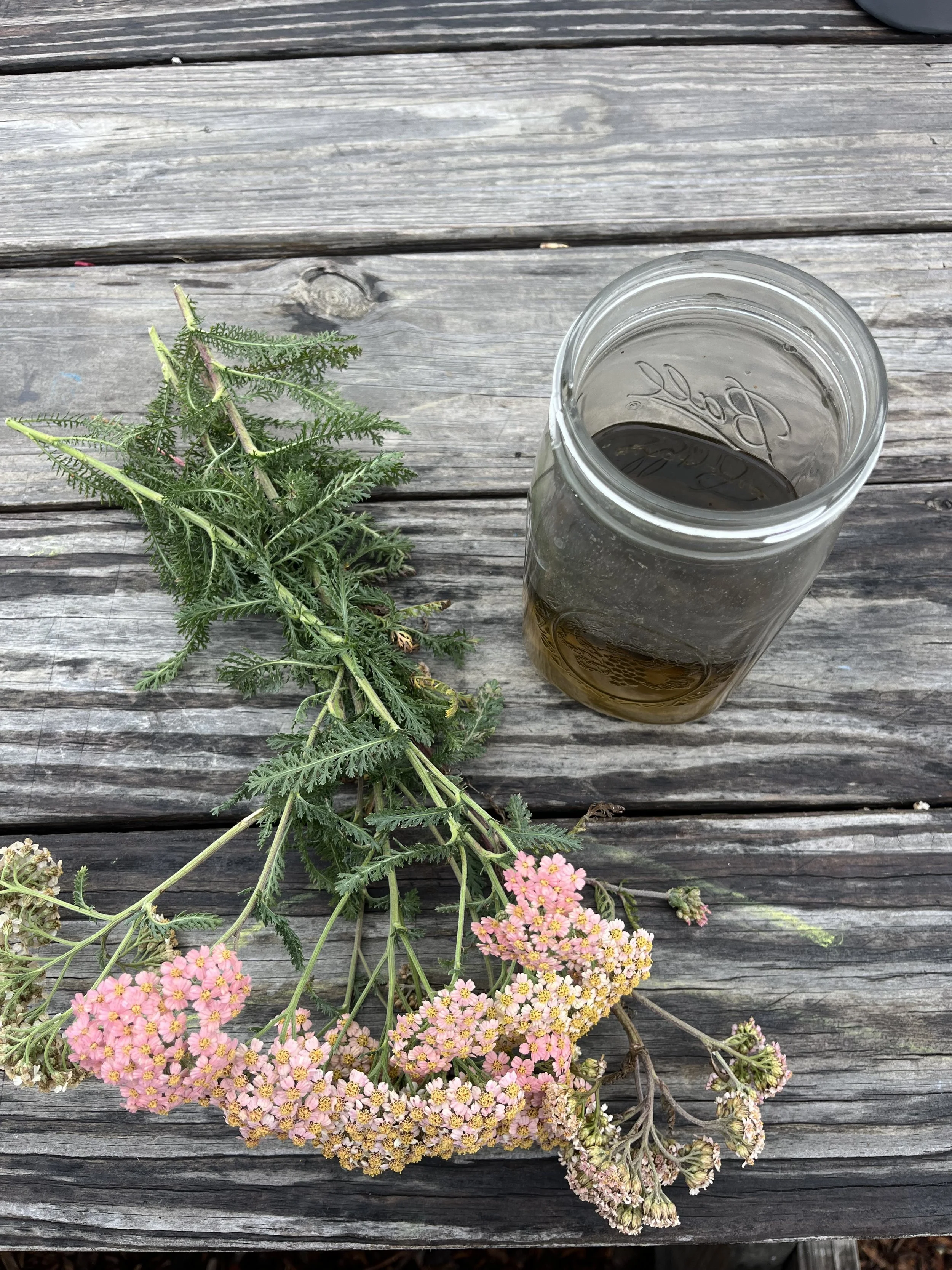 Herbal kitchen medicine @ estero bay art + craft