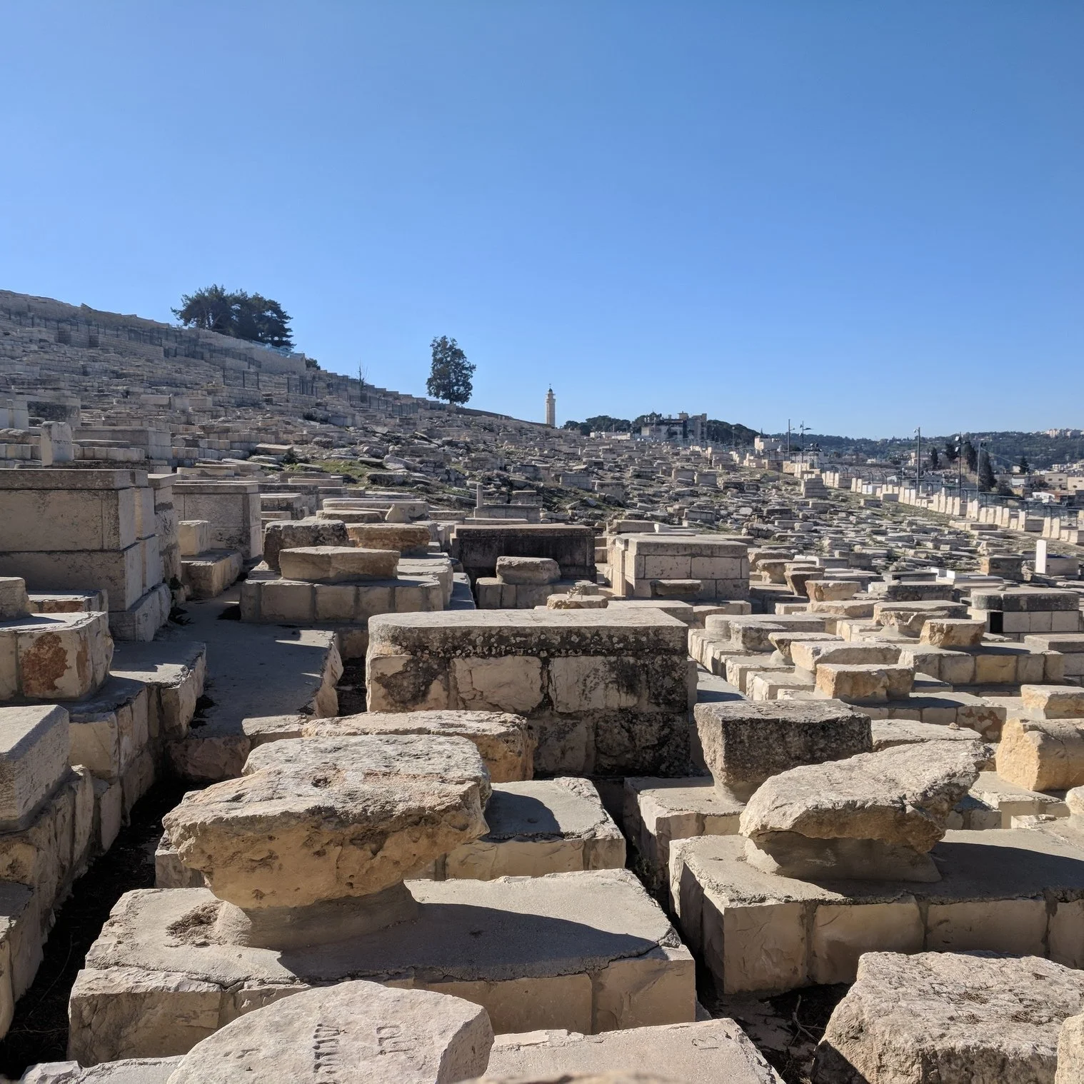 “More than watchmen for the morning”