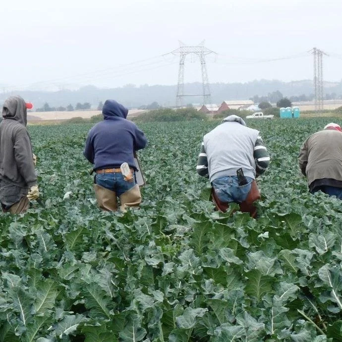 The parable of the workers