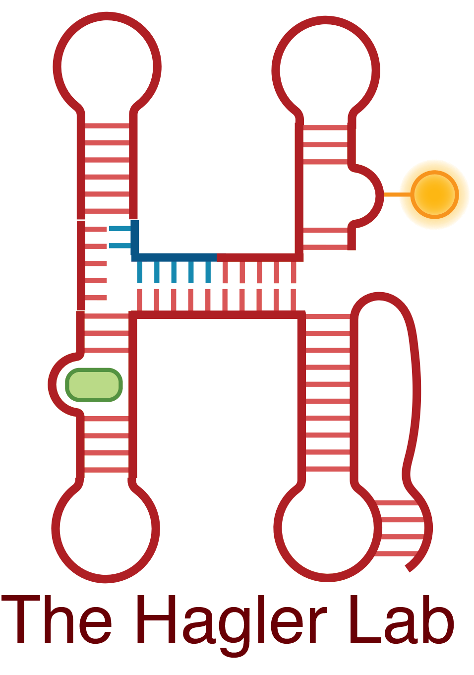 the hagler lab