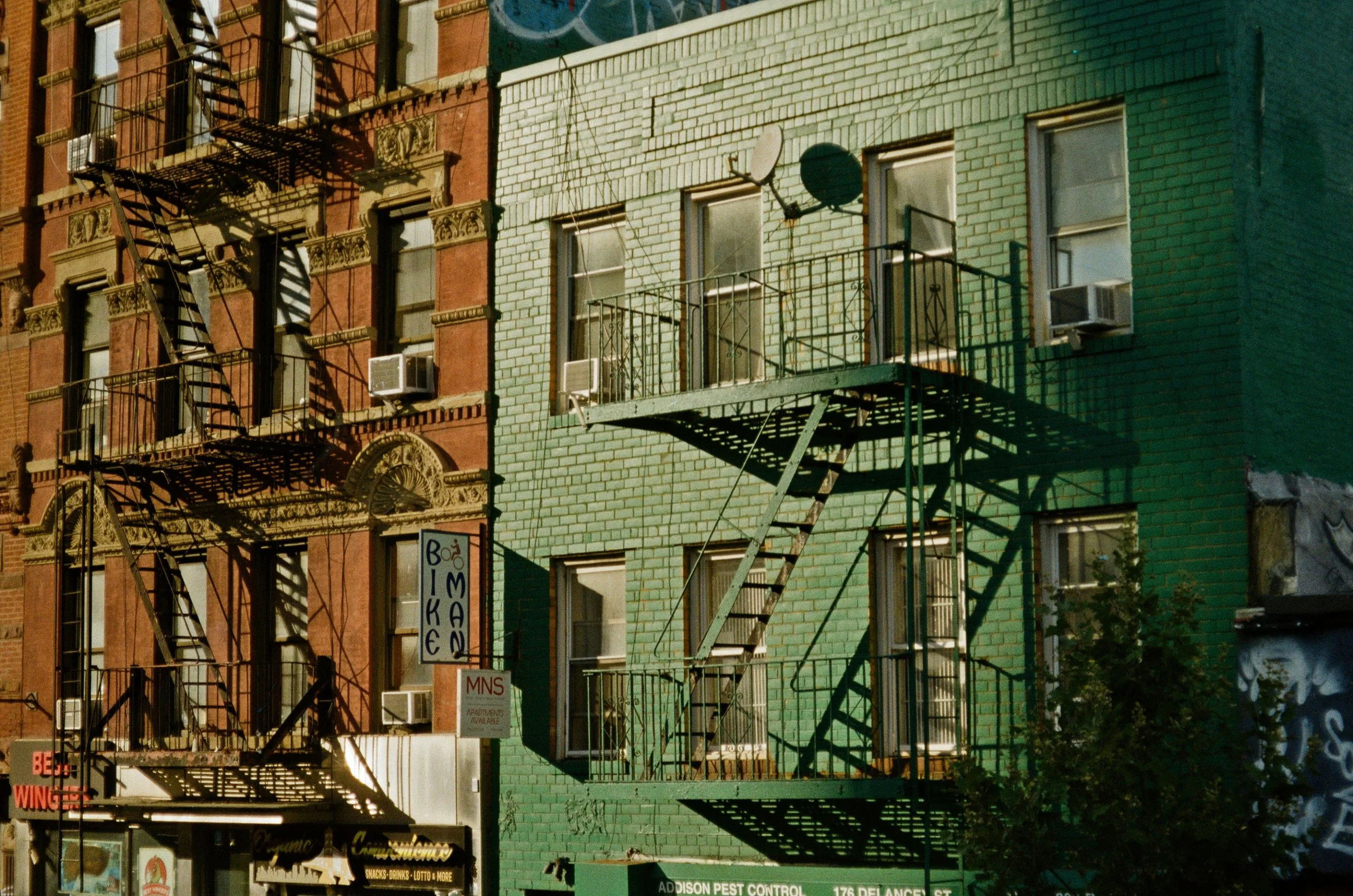 brown&green edit.jpg