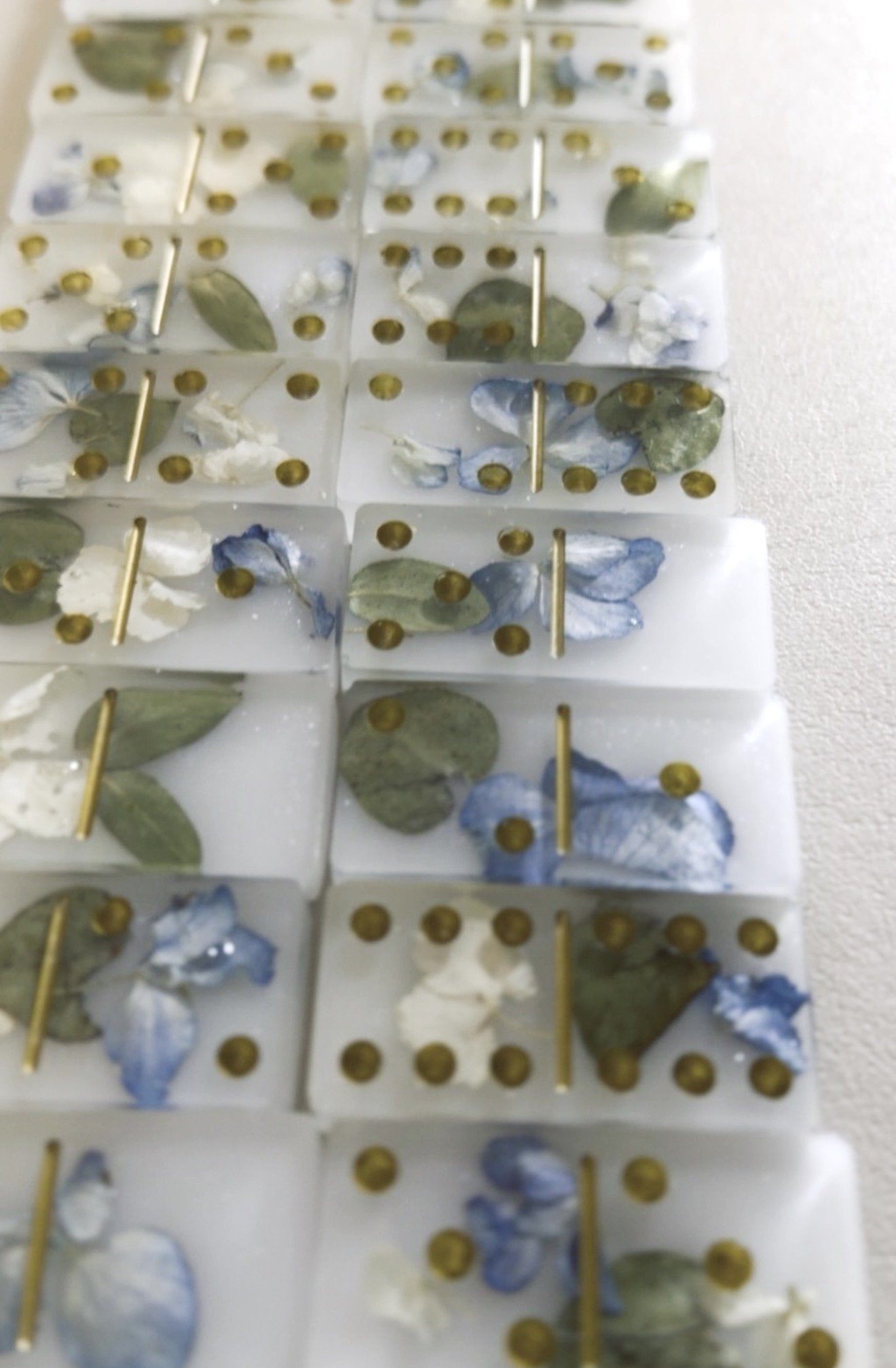 pretty flowers preserved as a domino set