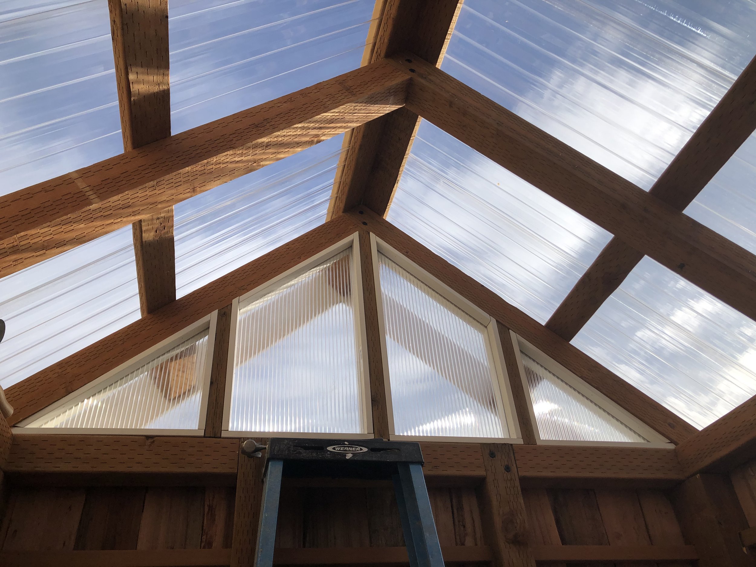 Interior view of a wooden greenhouse or sunroom under construction, showing a roof frame with glass panels and a ladder leaning against the wall.