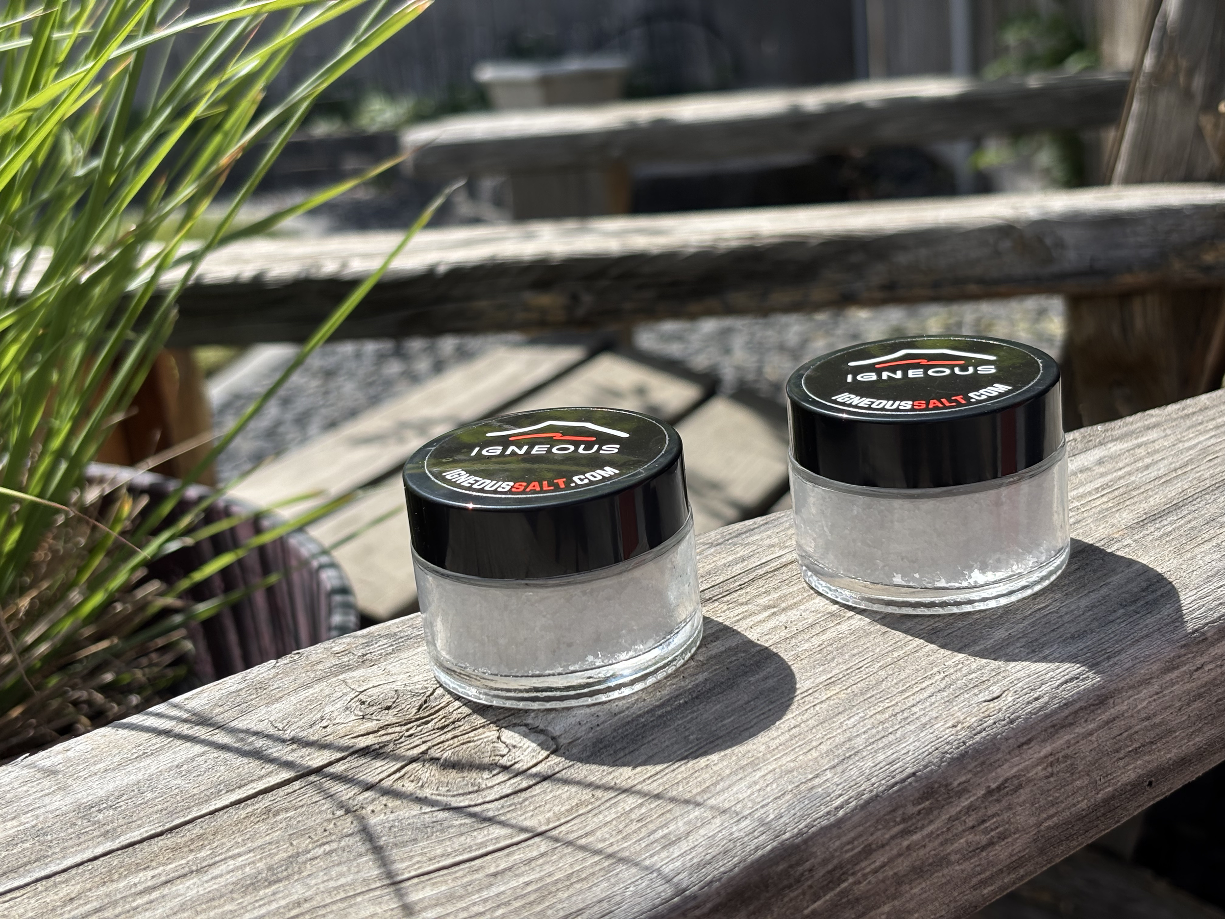 Untitled design (62).png