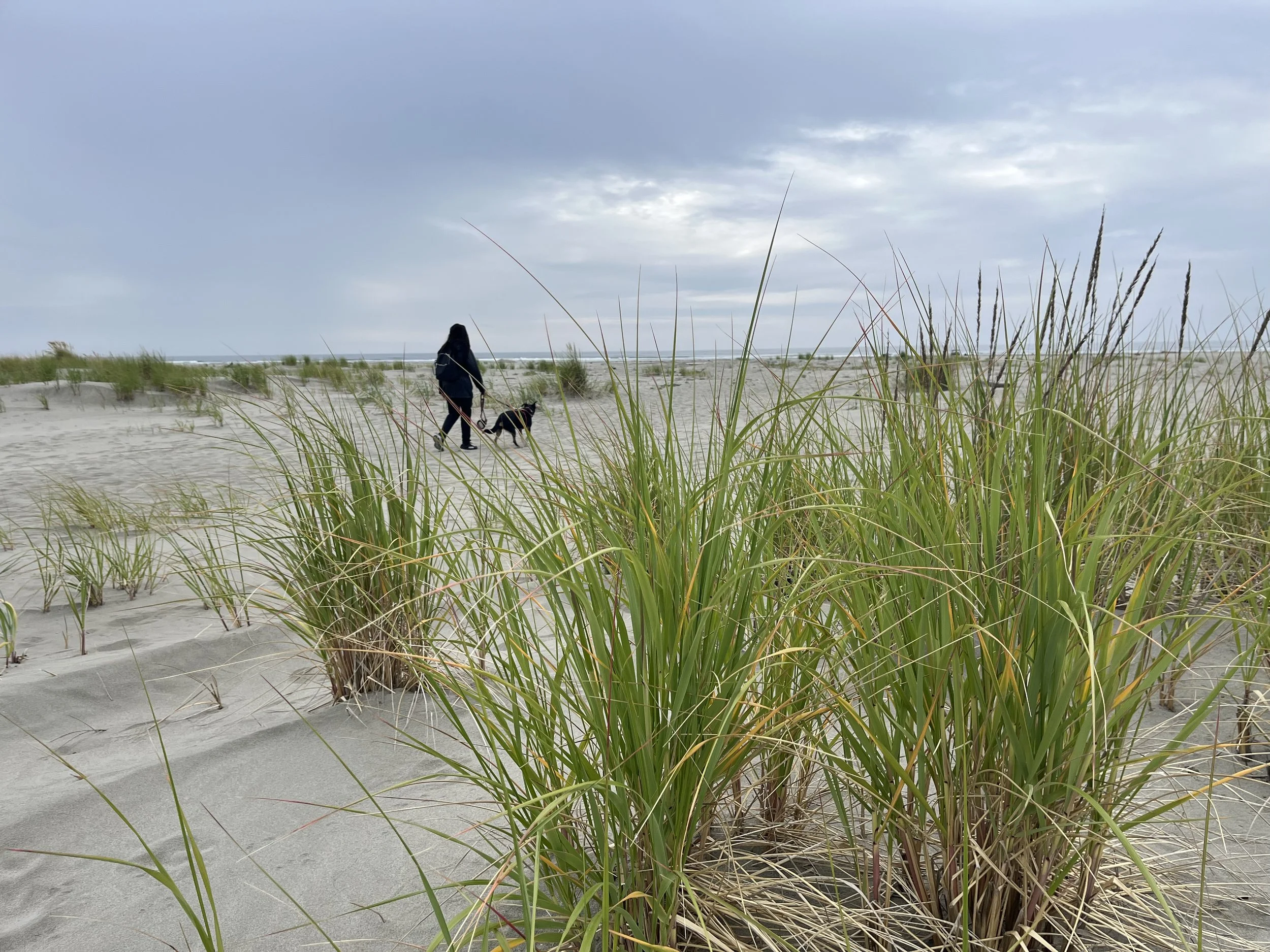 A person walking a dog on a sandy beach with grass in the foreground and cloudy sky above.