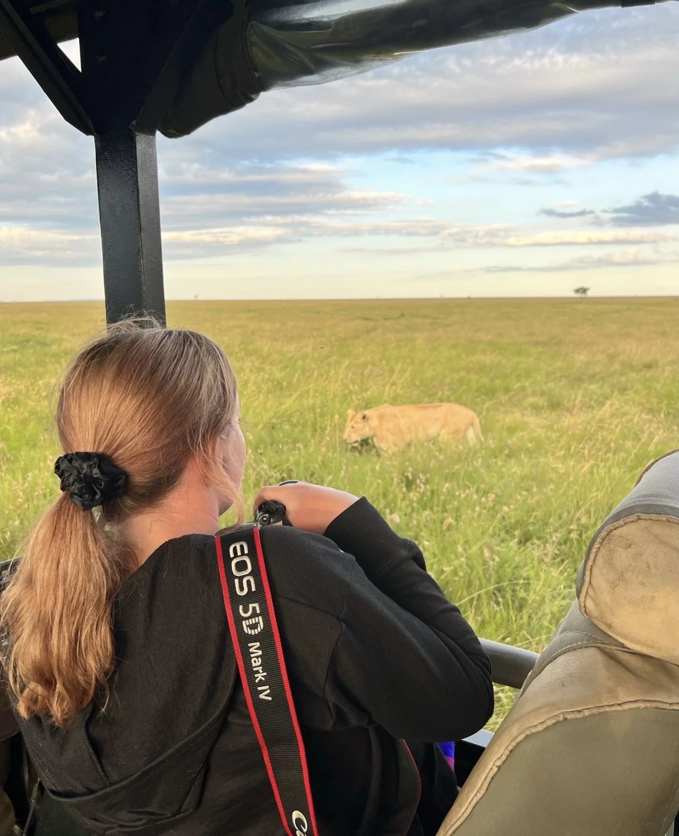 all of these were free 💫