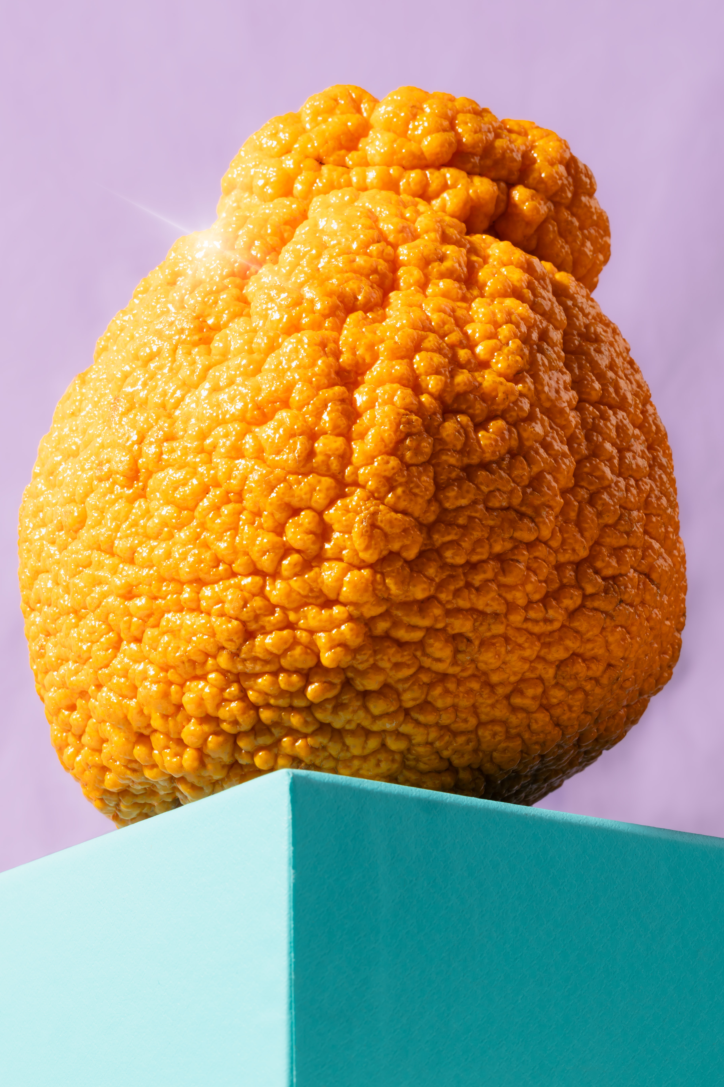 Close-up of a large, textured orange cauliflower head placed on a teal pedestal against a light purple background.
