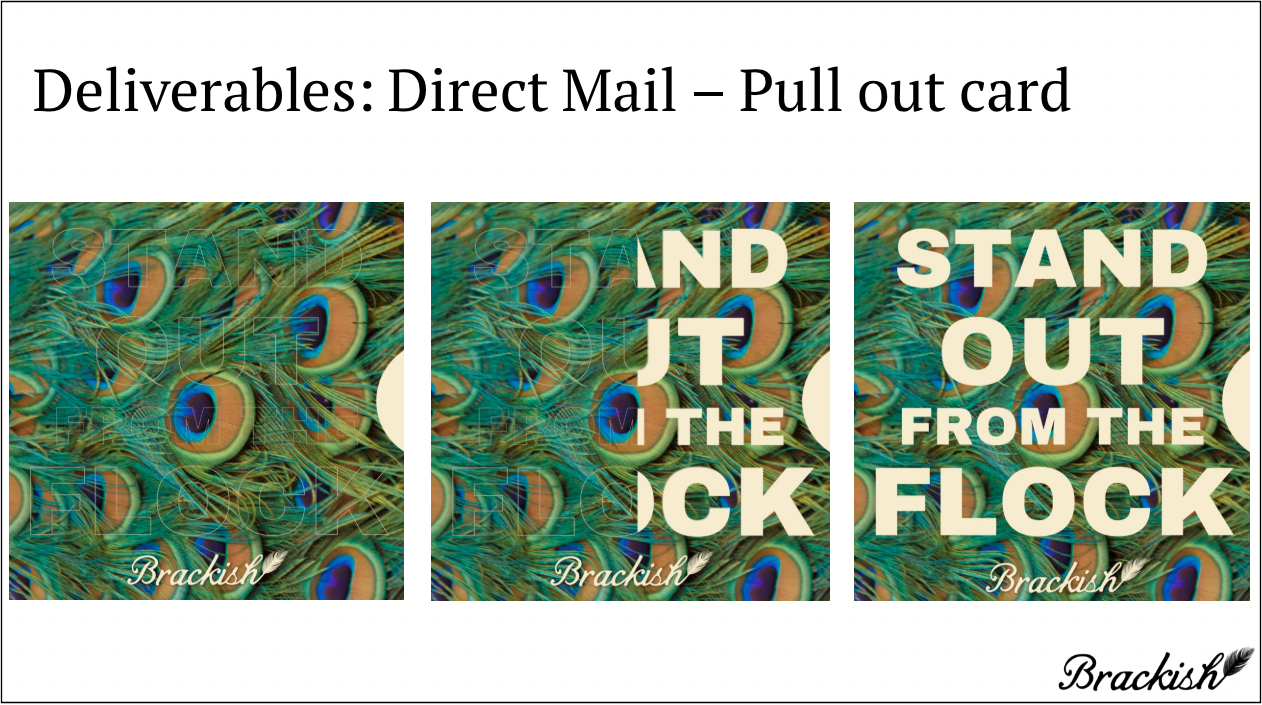 Screen Shot 2024-05-02 at 11.04.41 AM.png