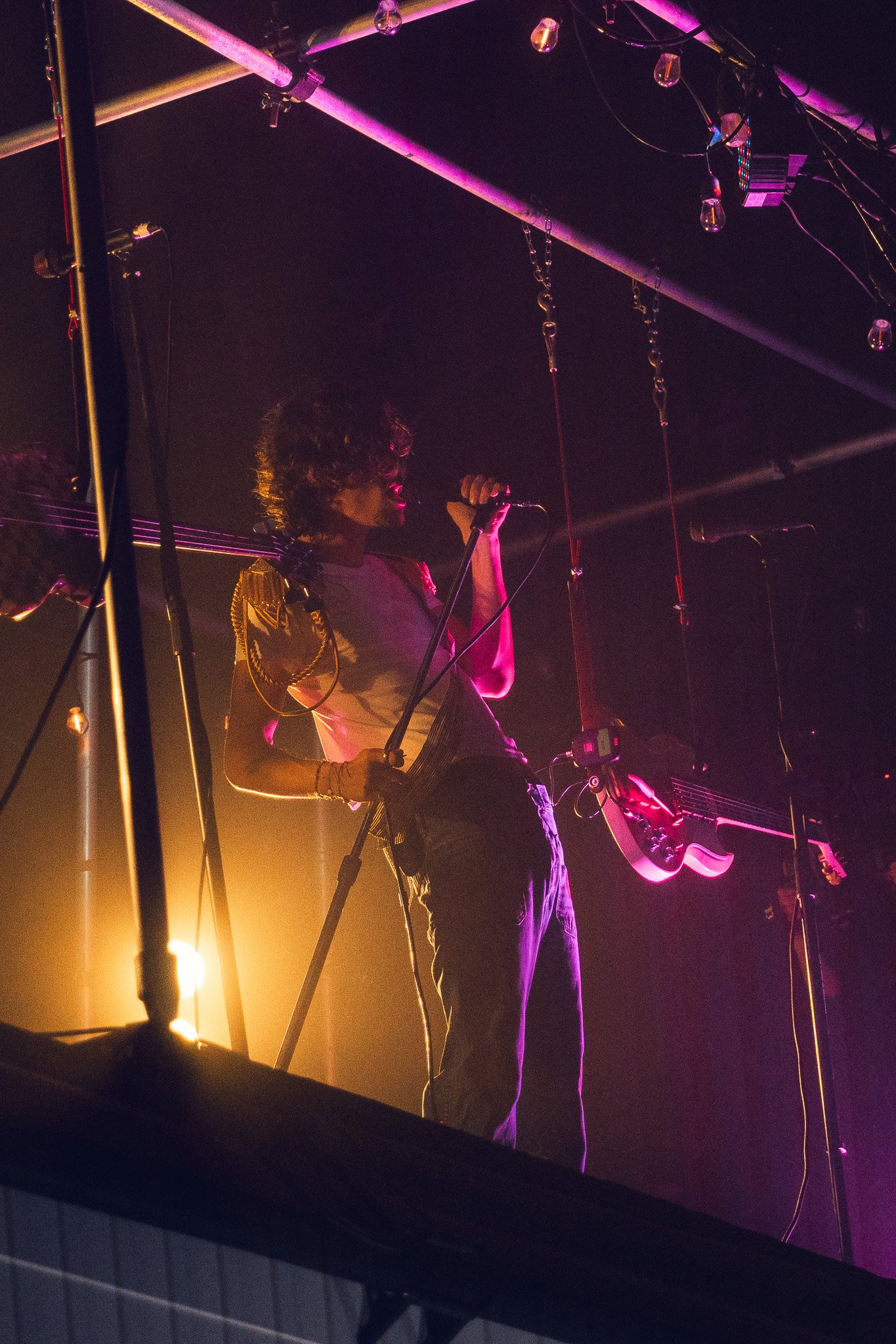 The Land Of The Twisted Tree by Mike Sabath 