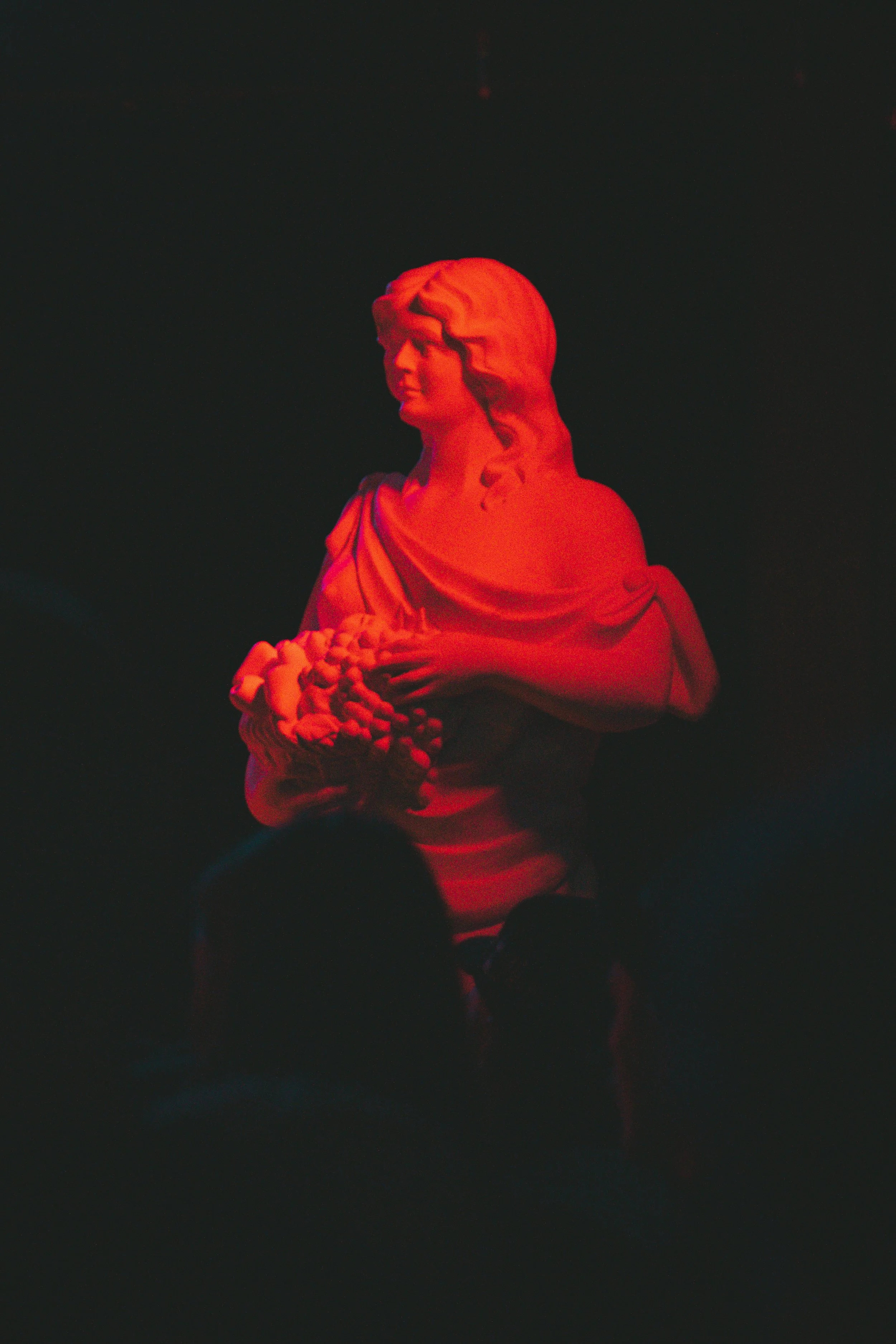 DSC02826.jpg