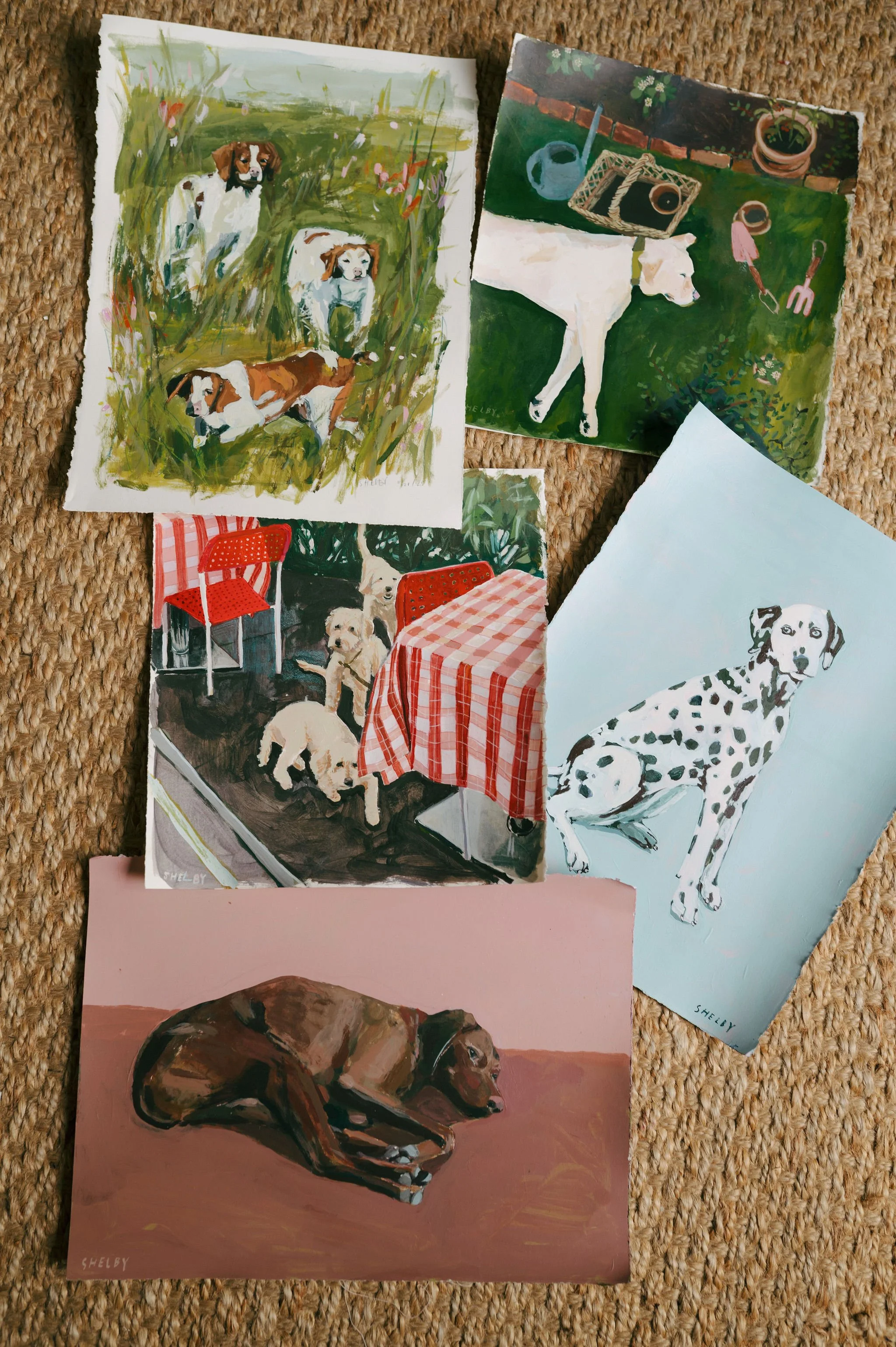 shelby-mont-dogs-2026-105.jpg