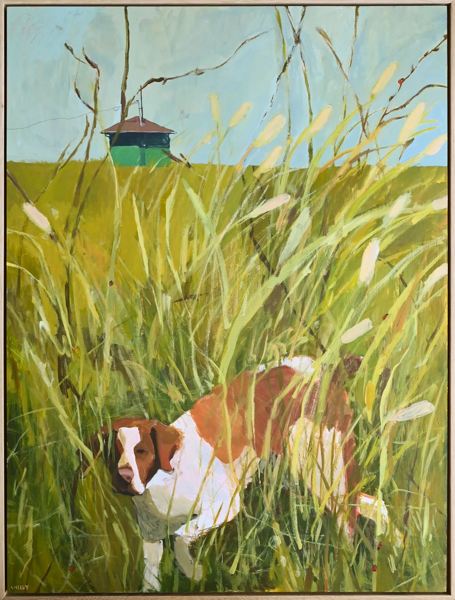 Ladybug hunt.jpg