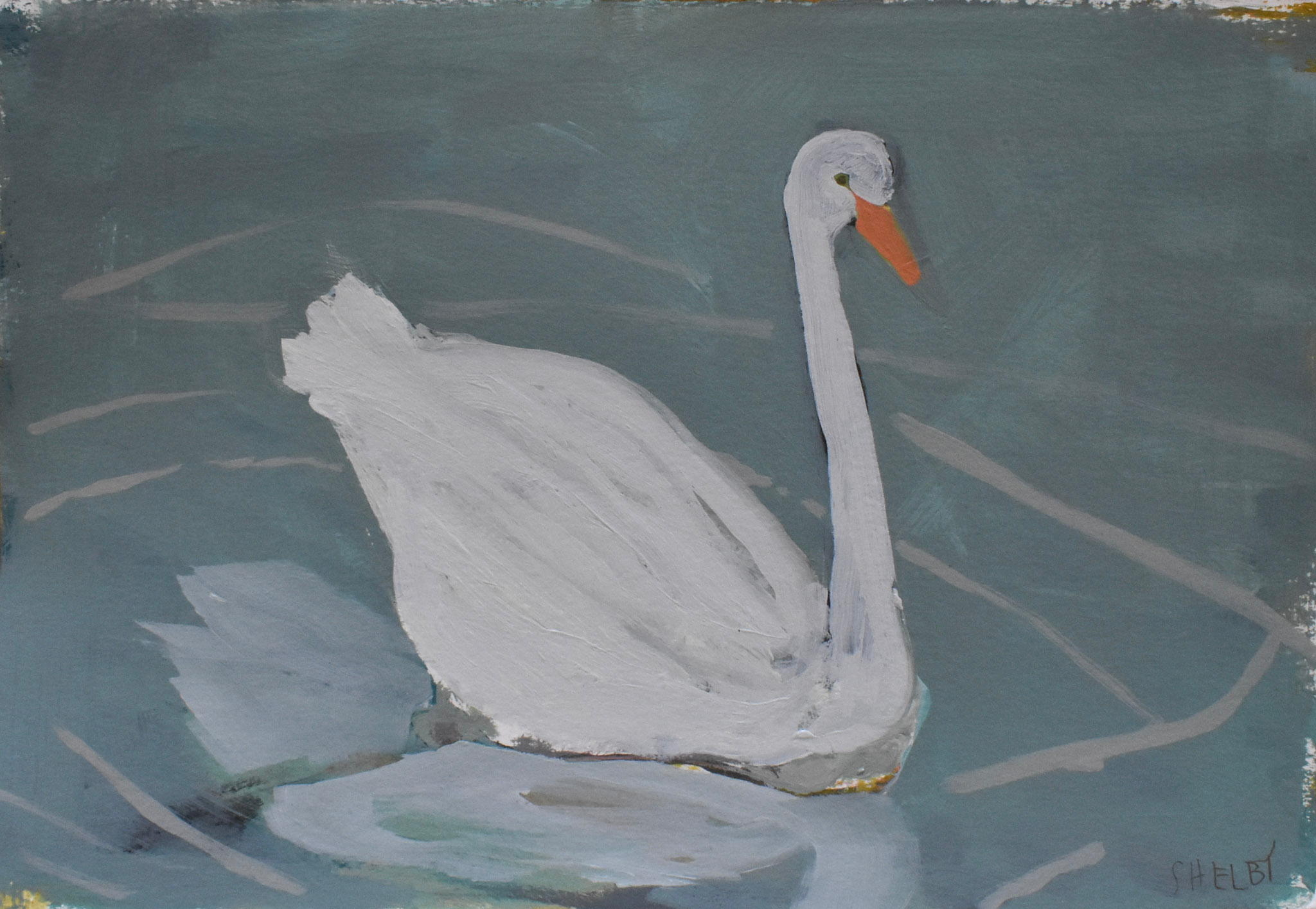 Swan Study 1
