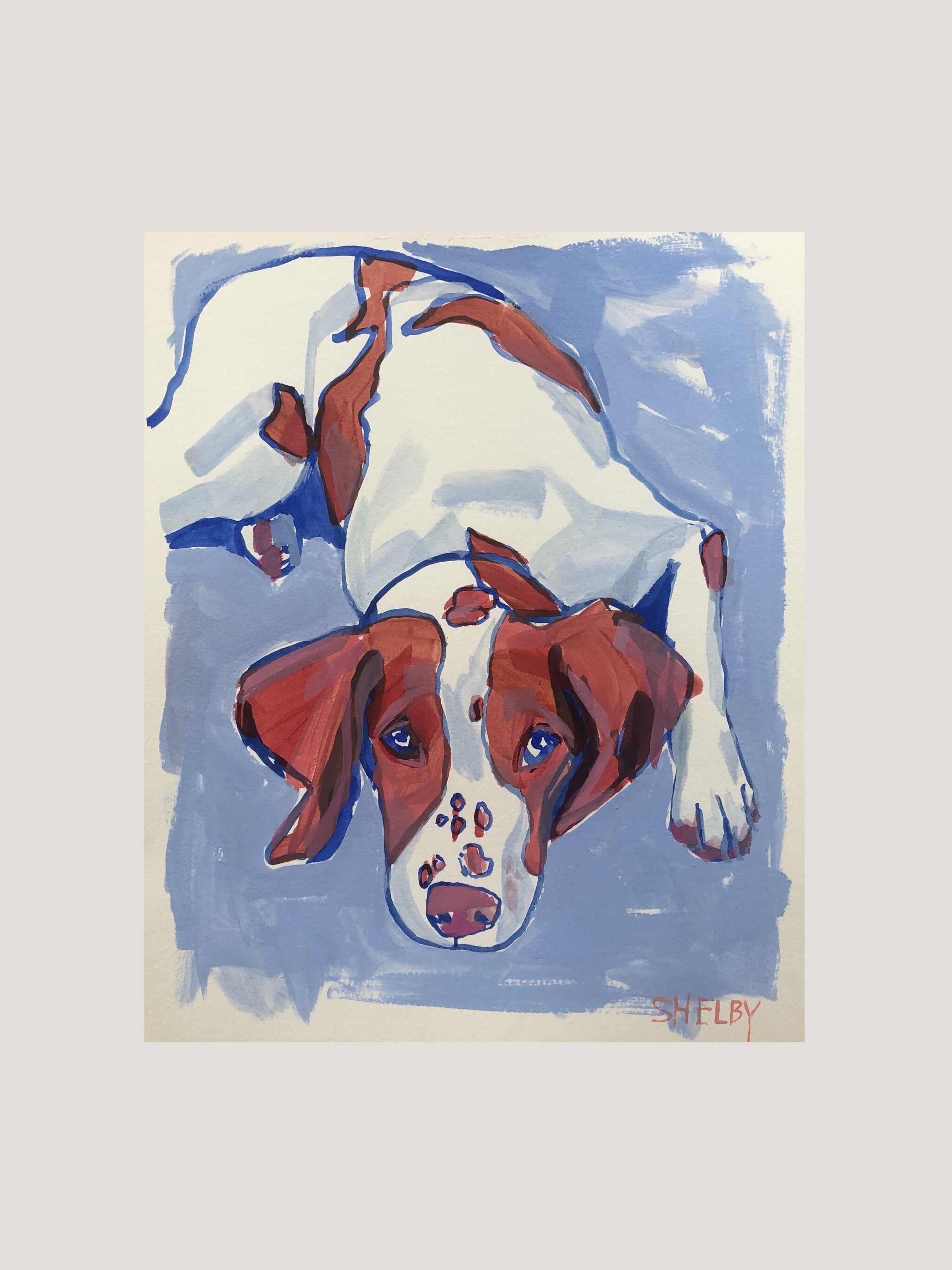 54641122-EC92-46C6-89CB-E38DD69CA228