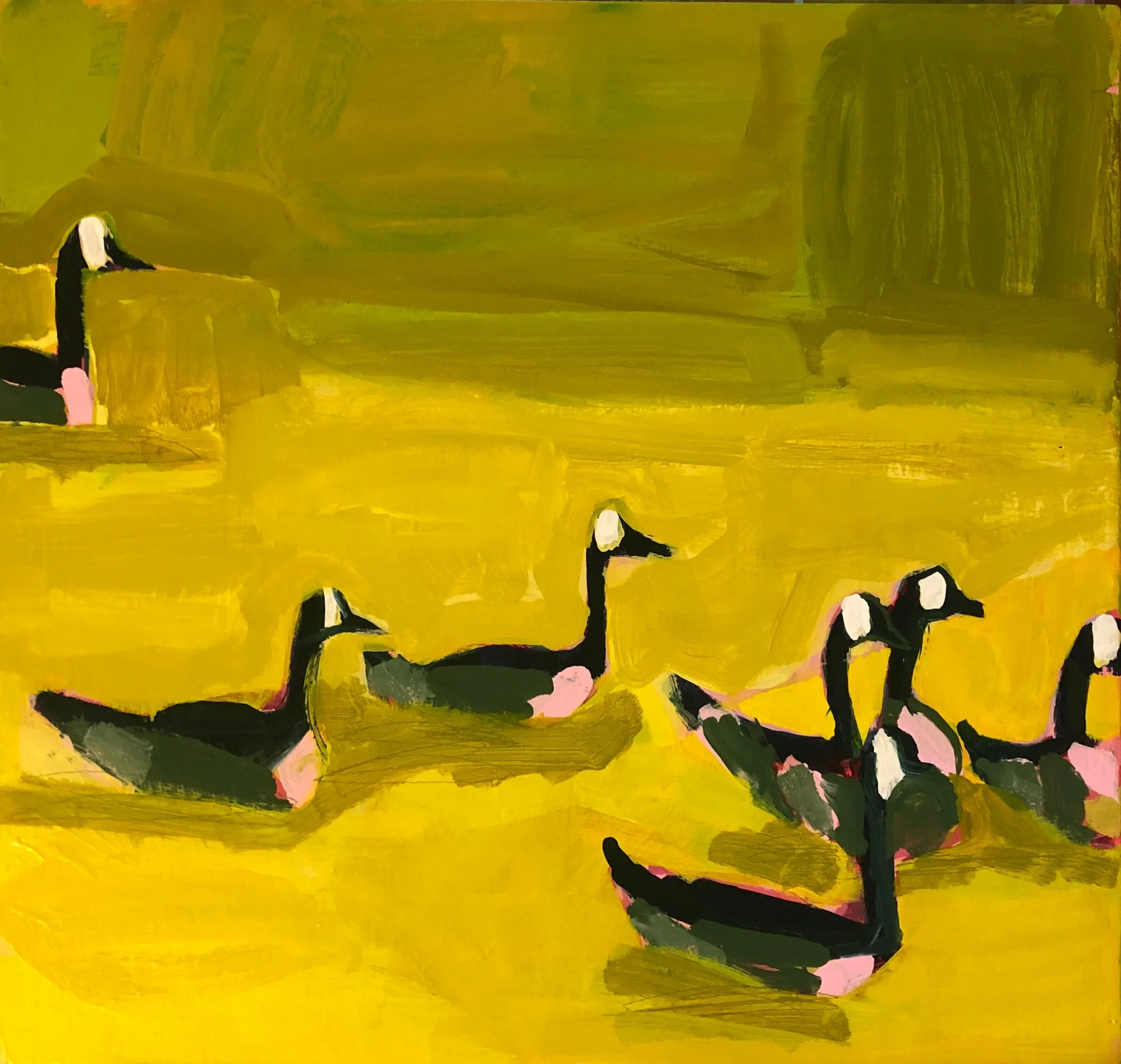 E86BC4FE-A10B-49A6-A81A-06ECA95964DA