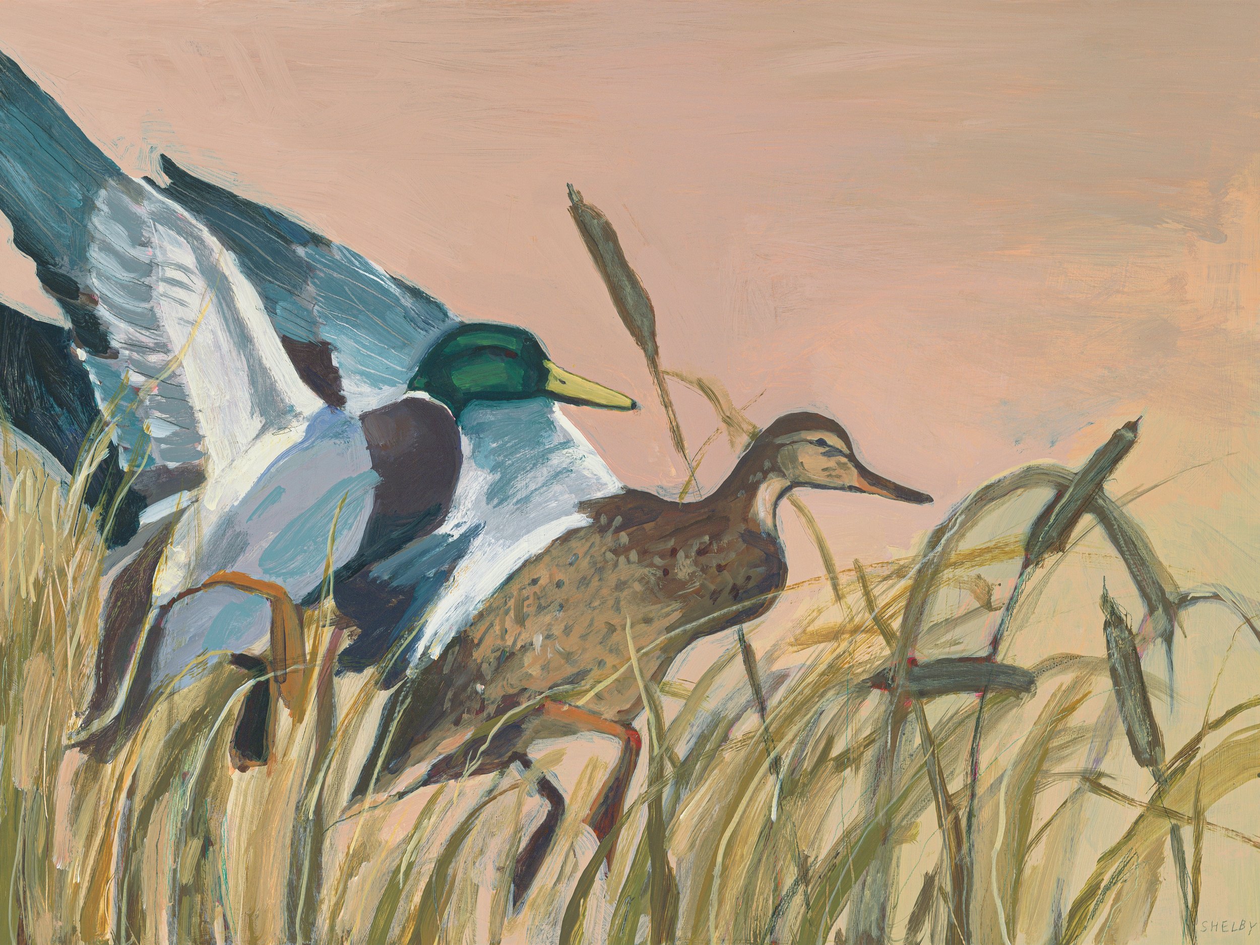 LuckyDucks.jpg