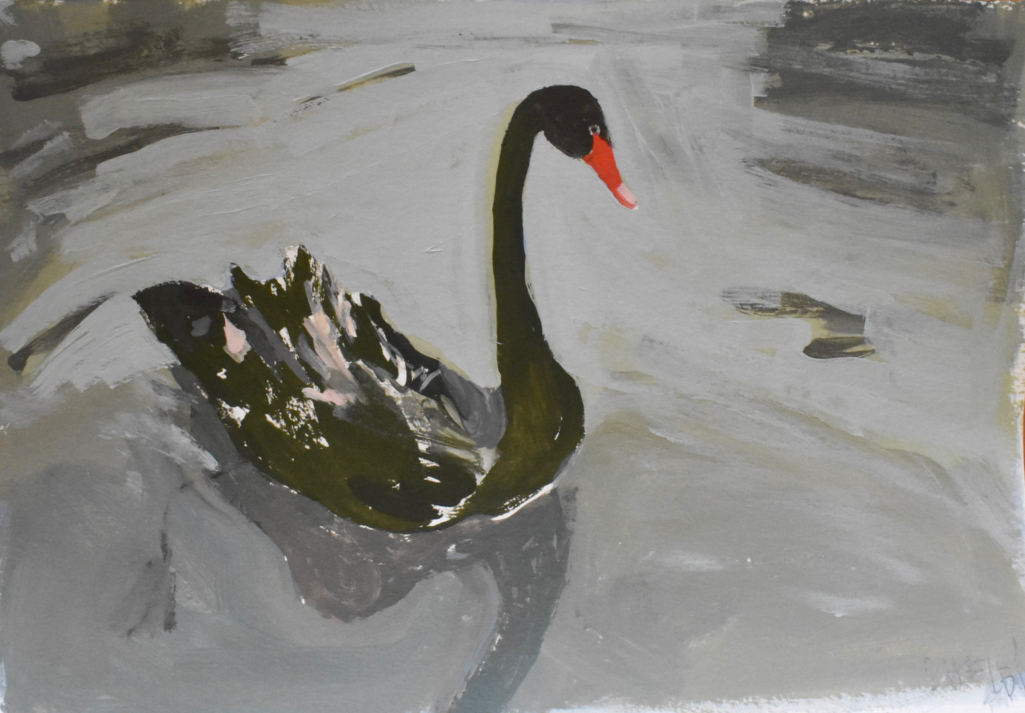 Swan Study 2