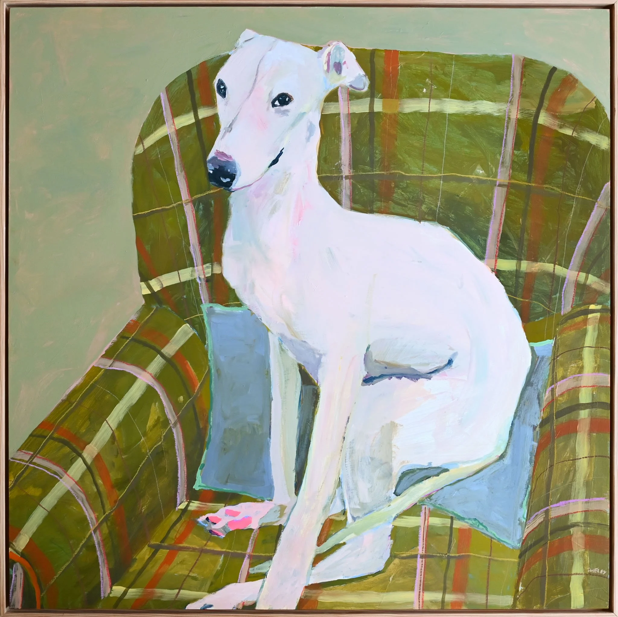Pink Paws.jpg