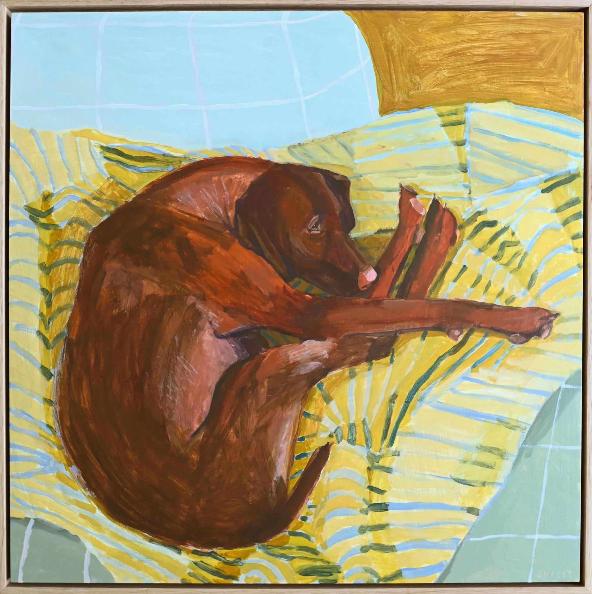 pretzel dog.jpg