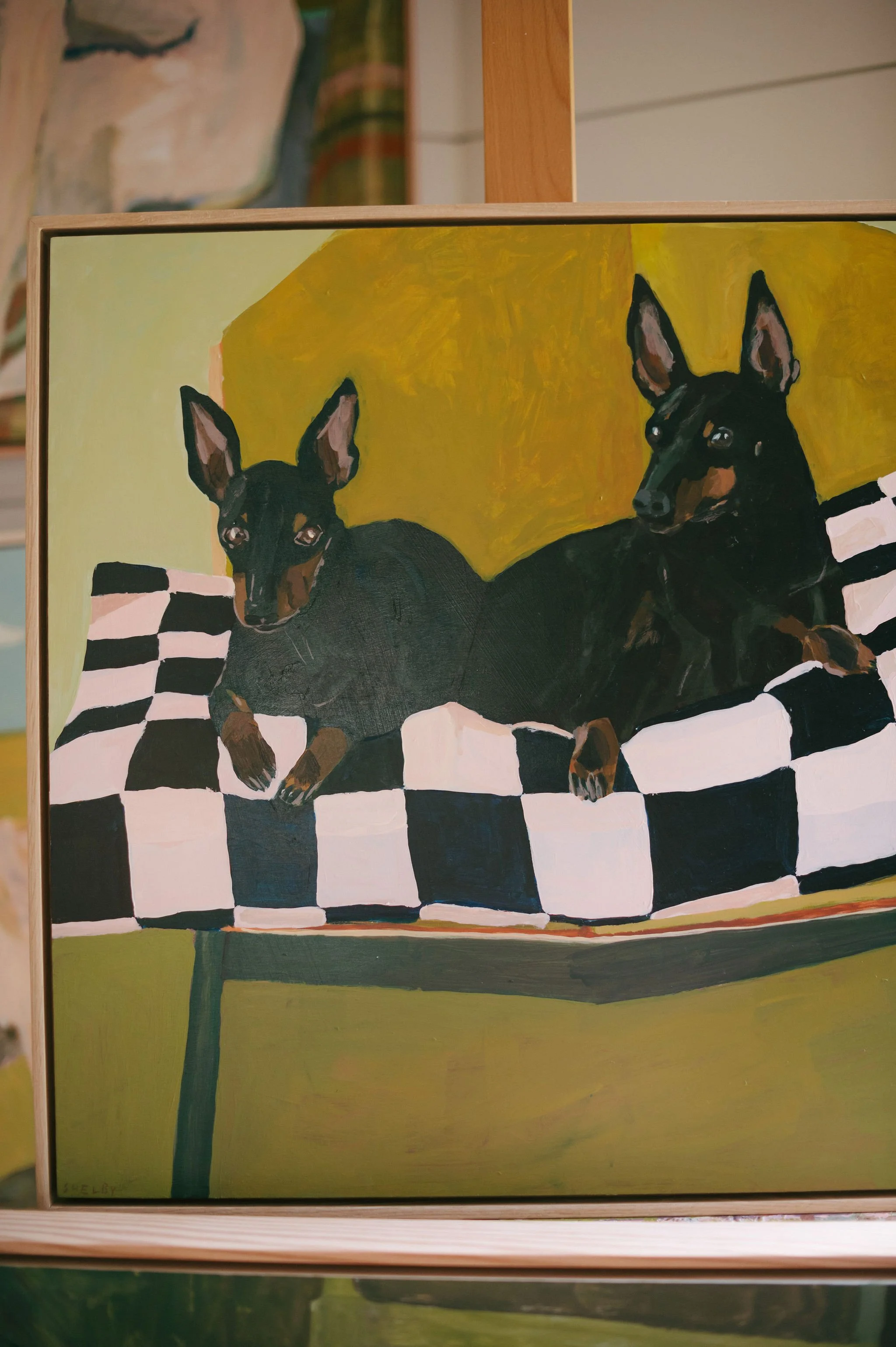 shelby-mont-dogs-2026-62.jpg