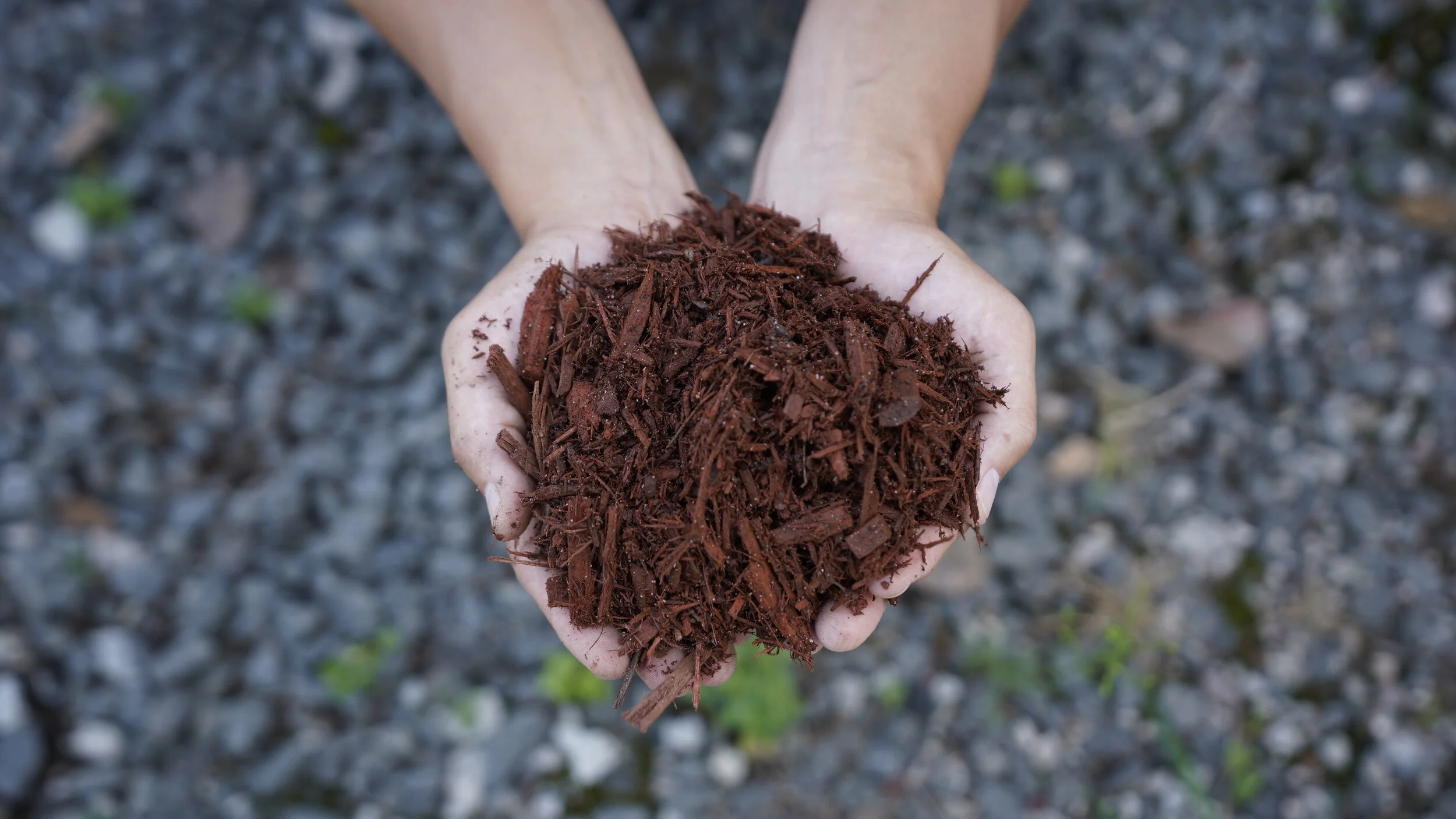 Red Dye Mulch