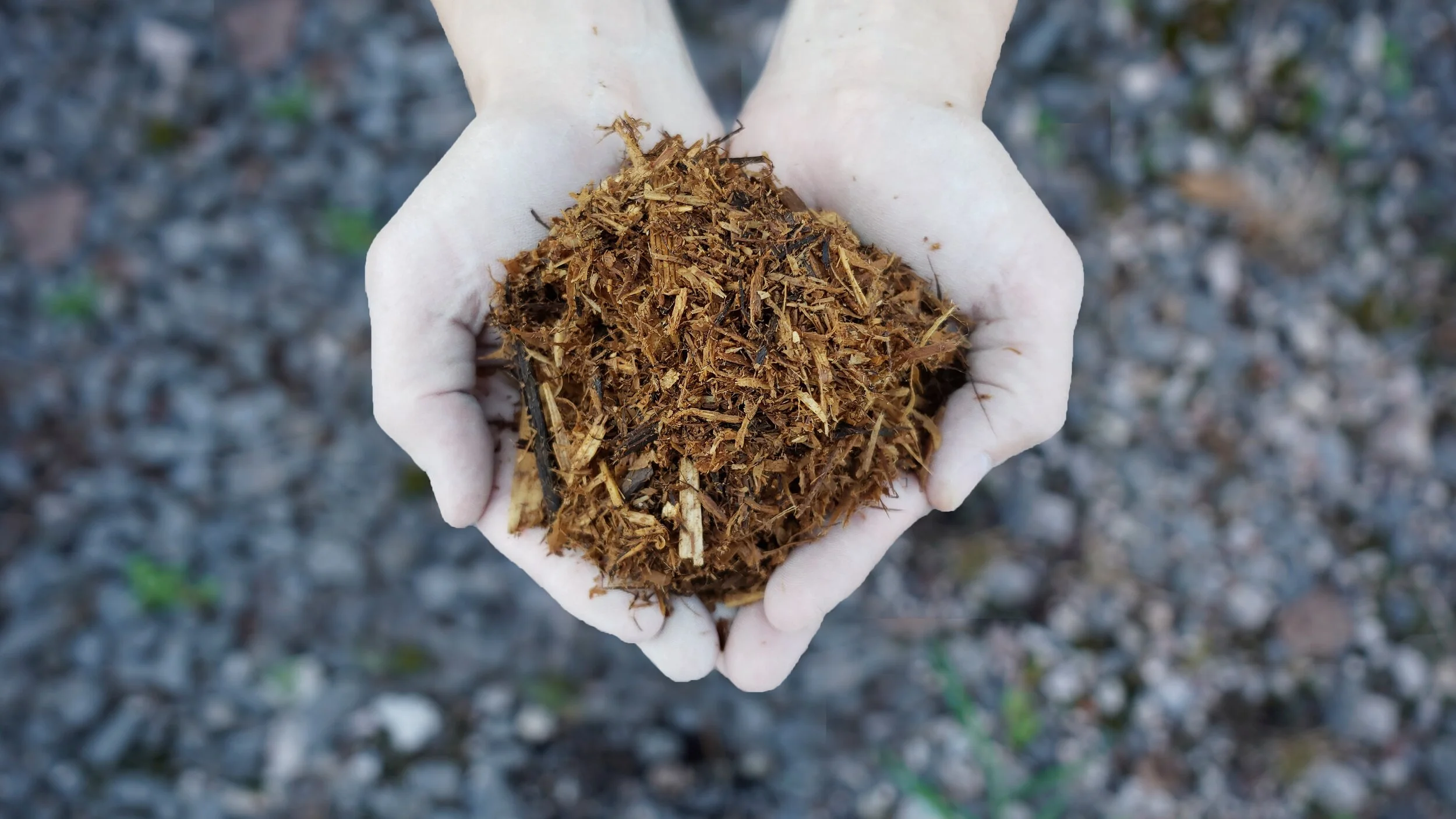 Cedar Mulch