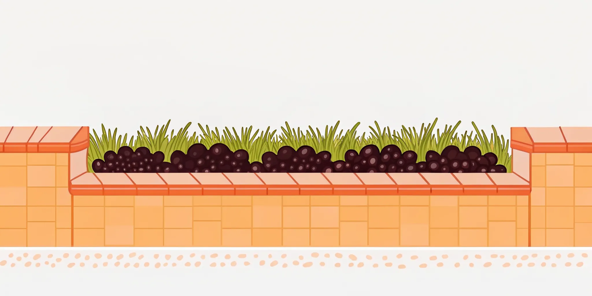 Top Dressing Soil for Lawns: When and How to Apply It