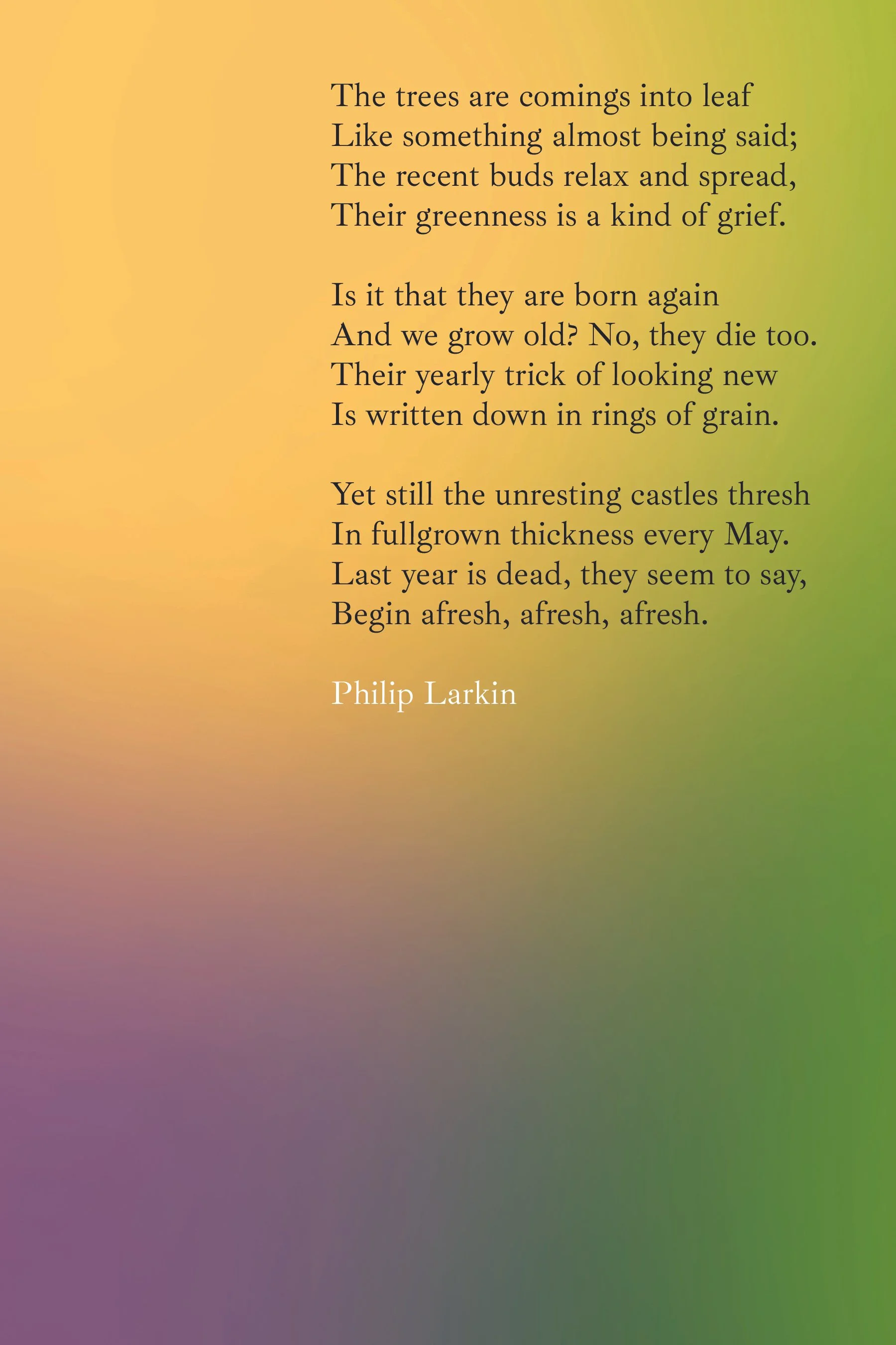 booklet 9 copy.jpg