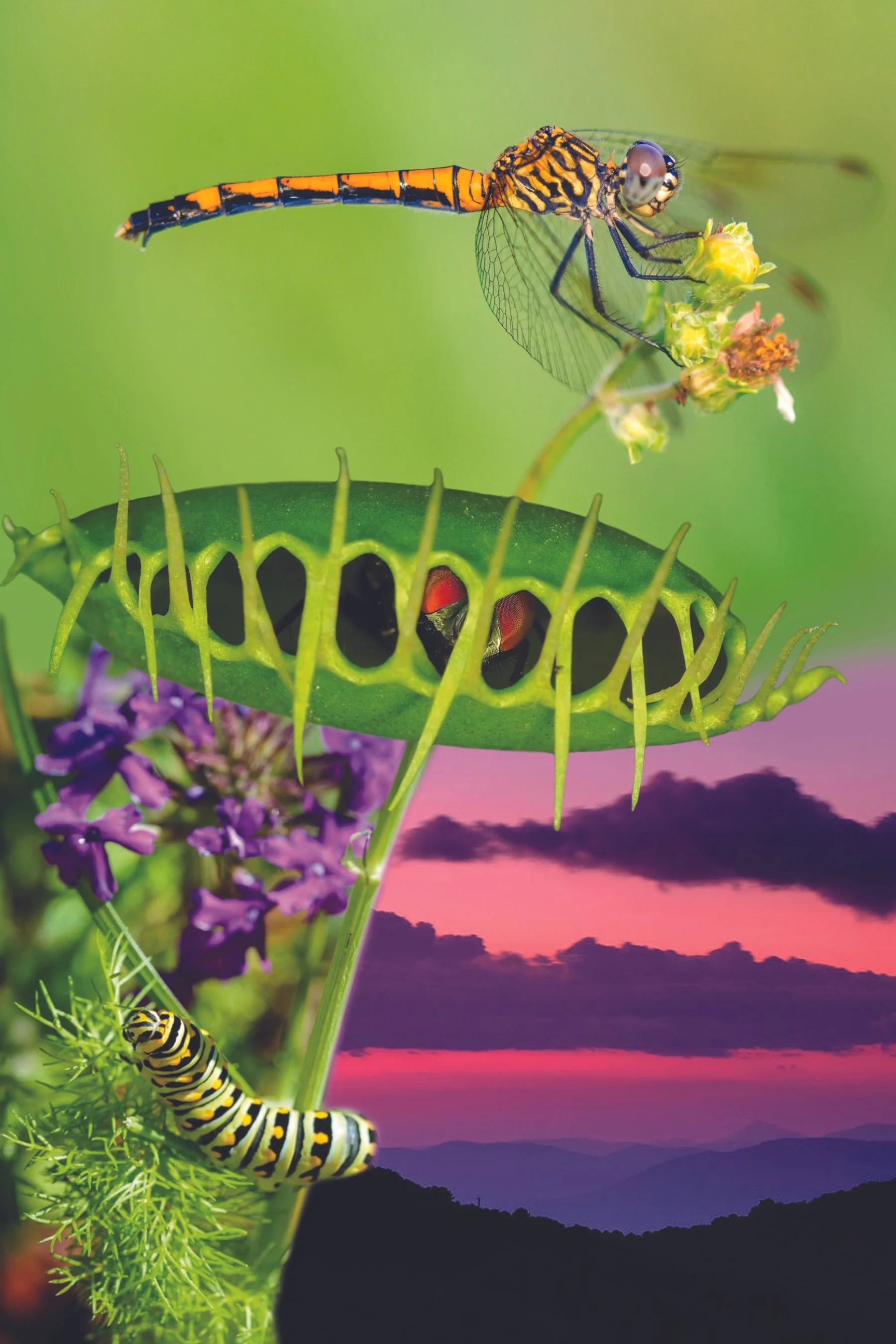 booklet 4 copy.jpg
