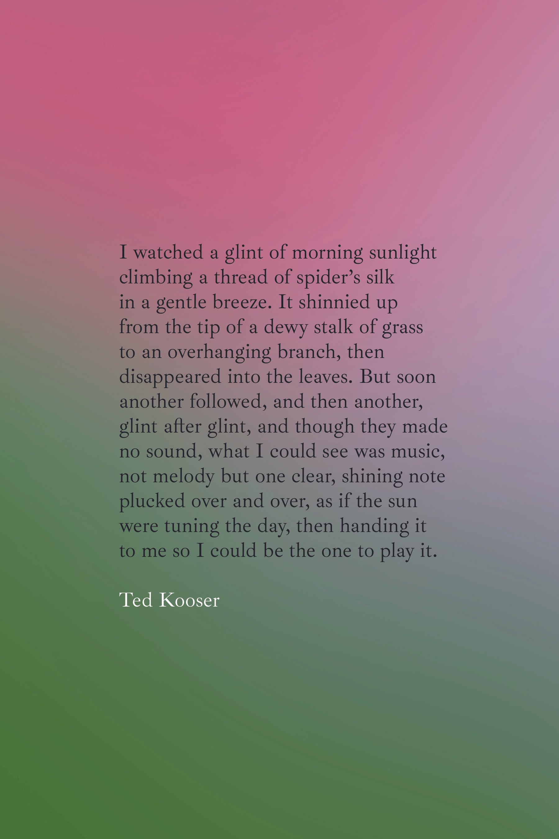 booklet 13 copy.jpg