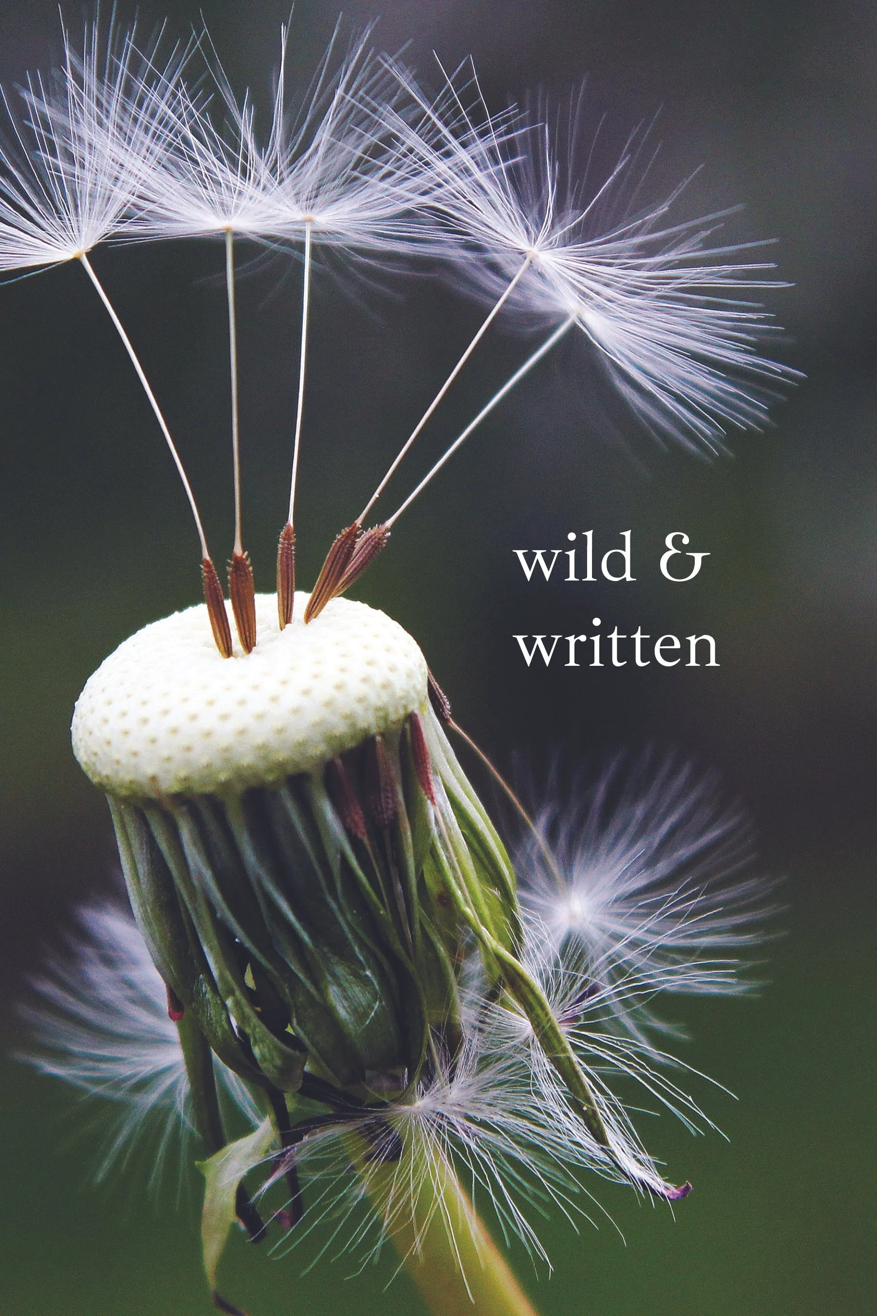 booklet 1 copy.jpg