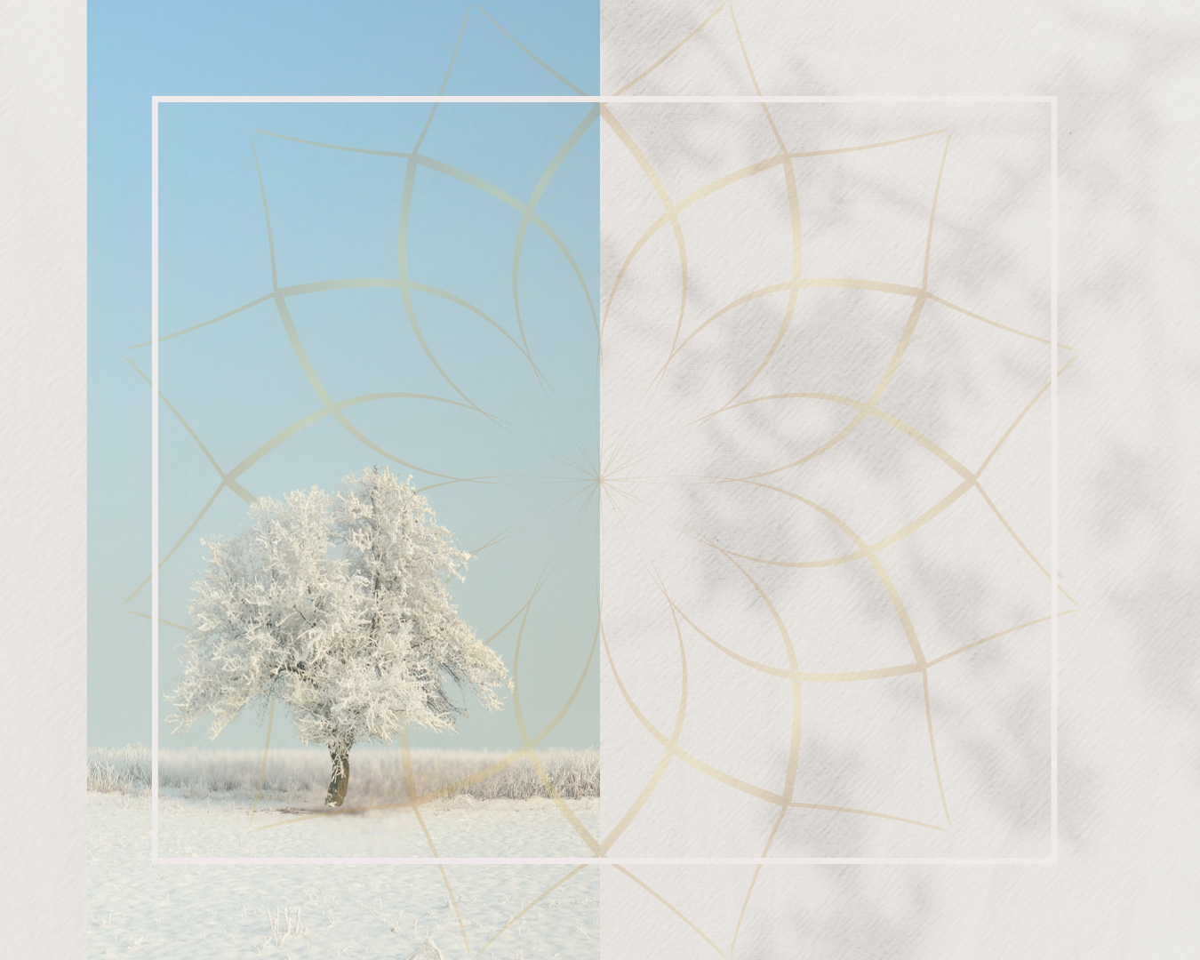 Winter Wellness Workshop