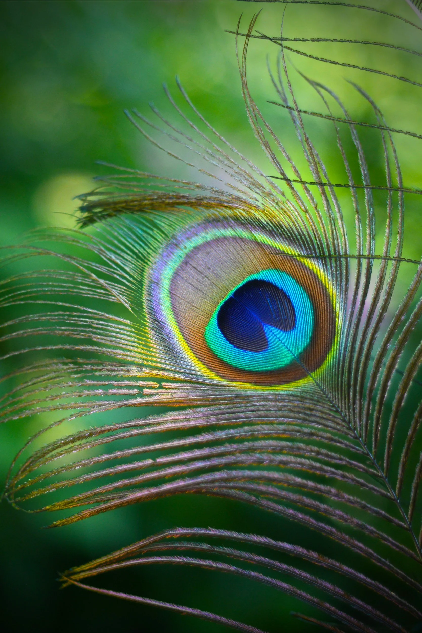 unsplash-image-l0bqFaNb9LM.jpg