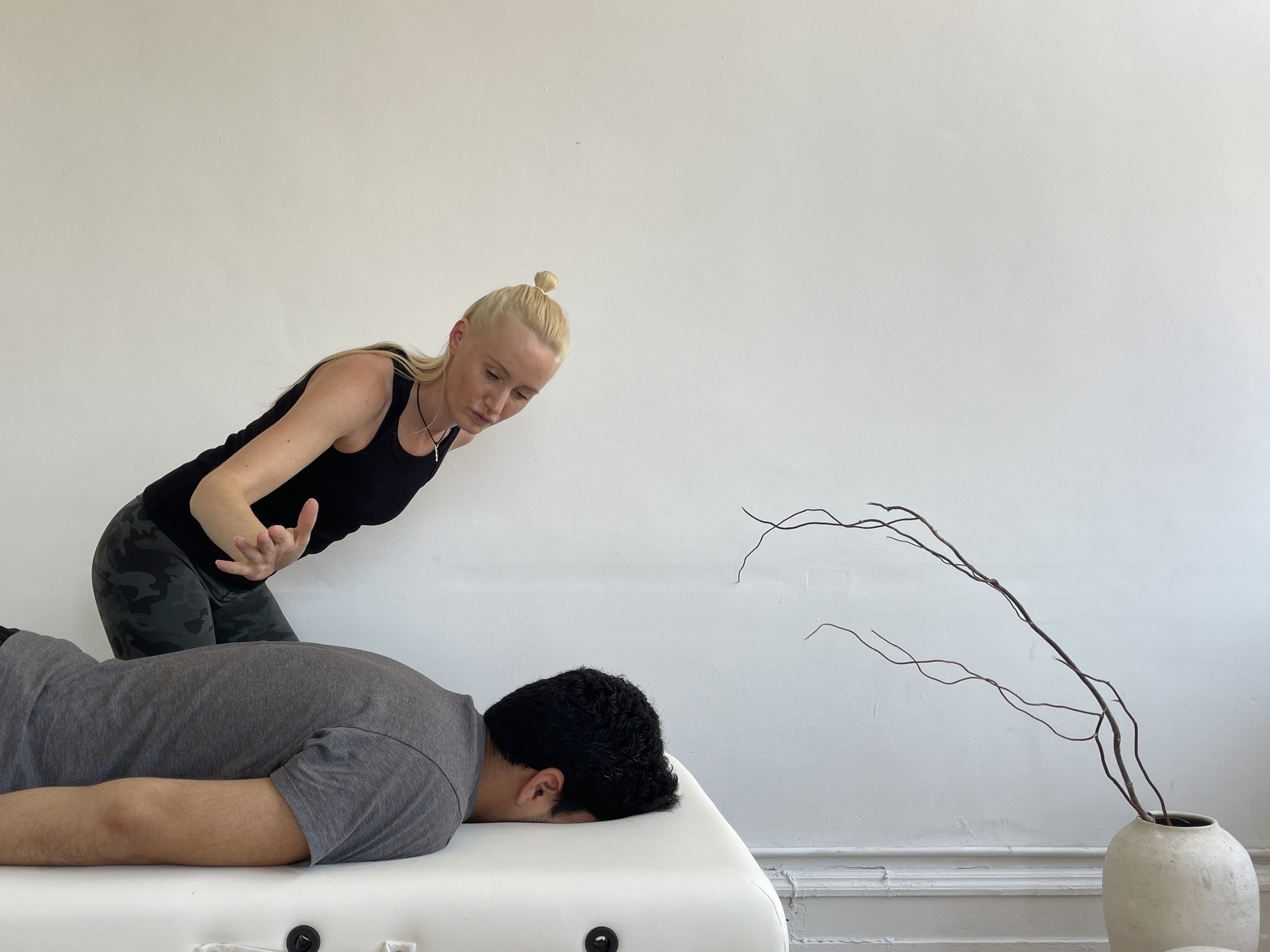 Seena_Energetics_Spinal_Energetics_New_York5.jpg