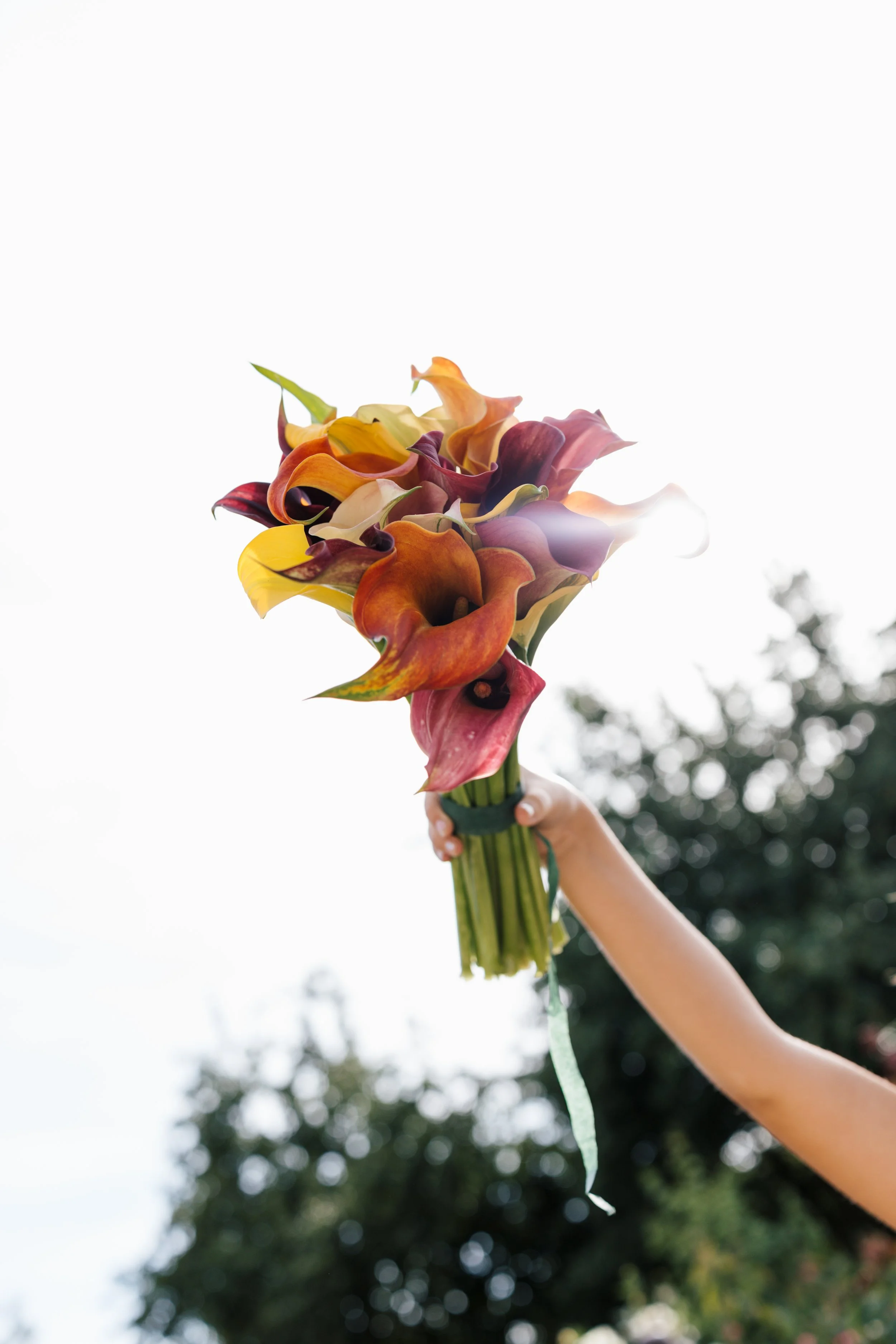 A person's hand holding a colorful bouquet of calla lilies up against a bright sky, with trees in the background.