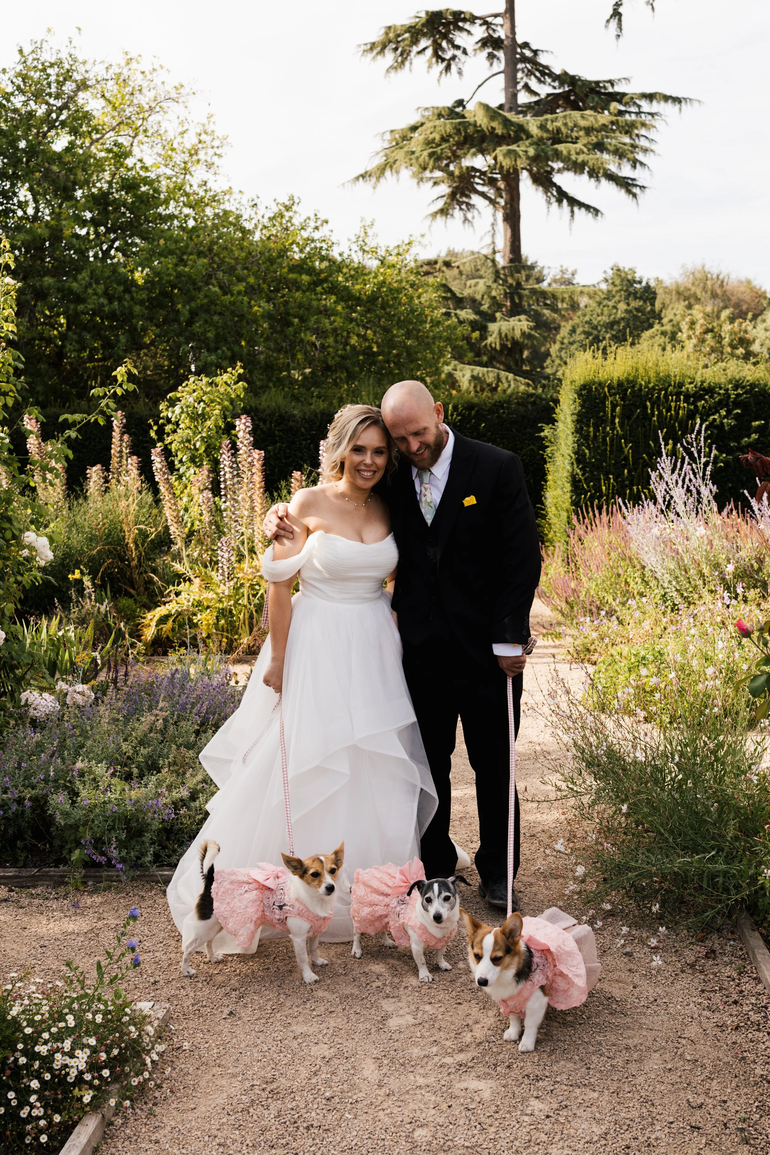 A bride and groom stand together in a garden, surrounded by colorful flowers and trees. The bride is in a white wedding dress, and the groom is in a black suit. Four dogs wearing pink dresses and pink bows are in front of them, with one small dog at 