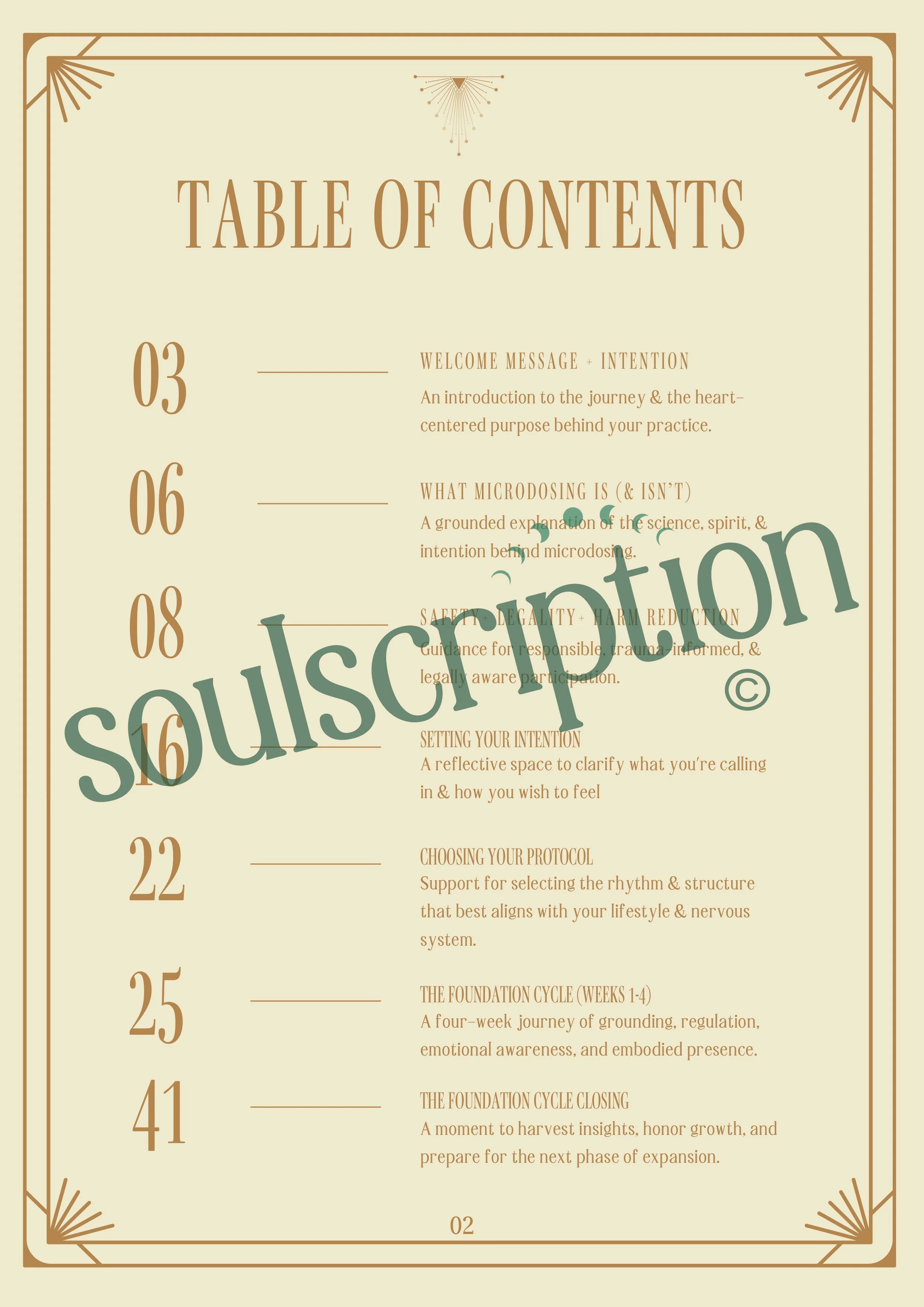 Soulscription 4-Week Microdosing Workbook Part 1-2.jpg