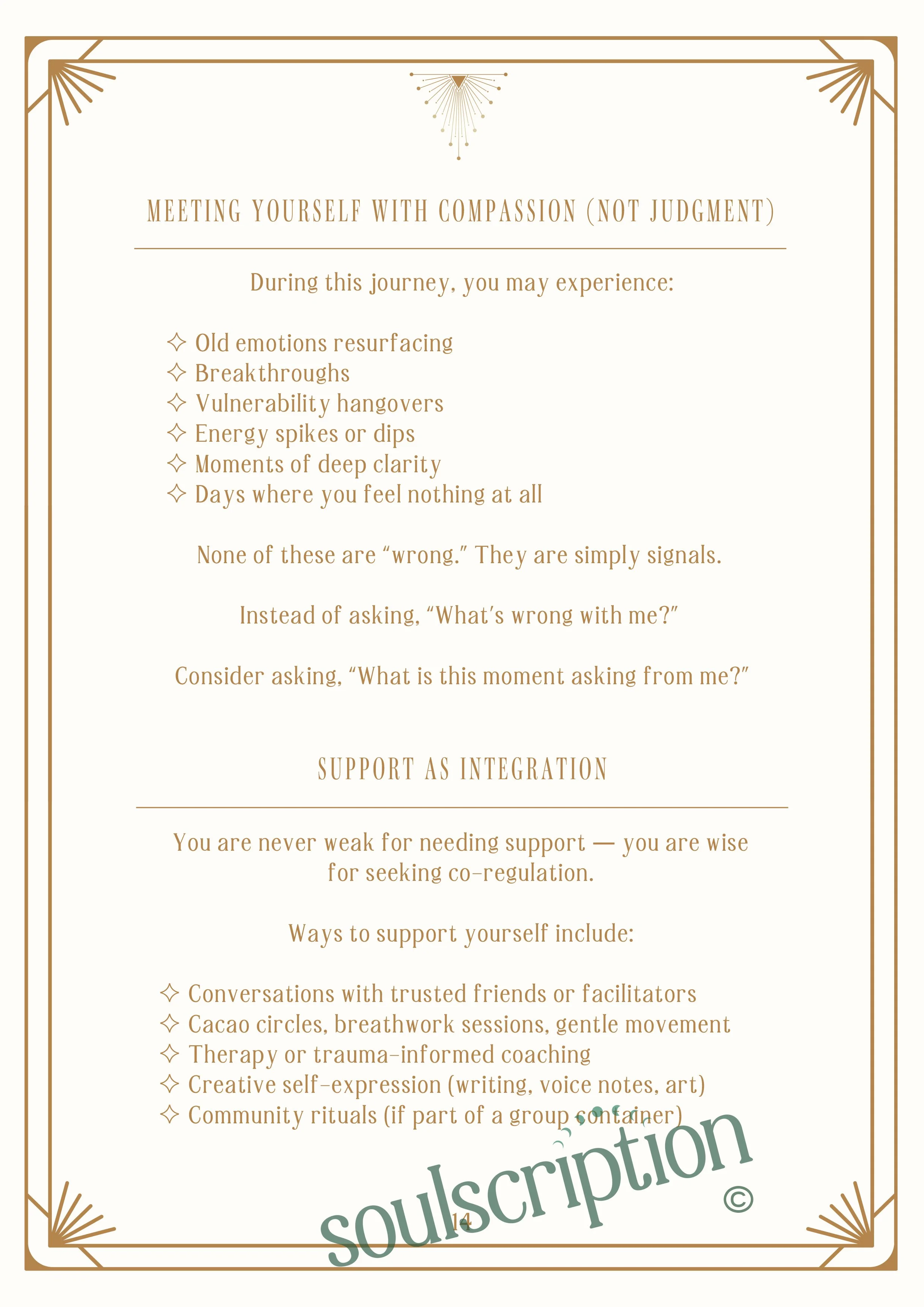 Soulscription 4-Week Microdosing Workbook Part 1-14.jpg