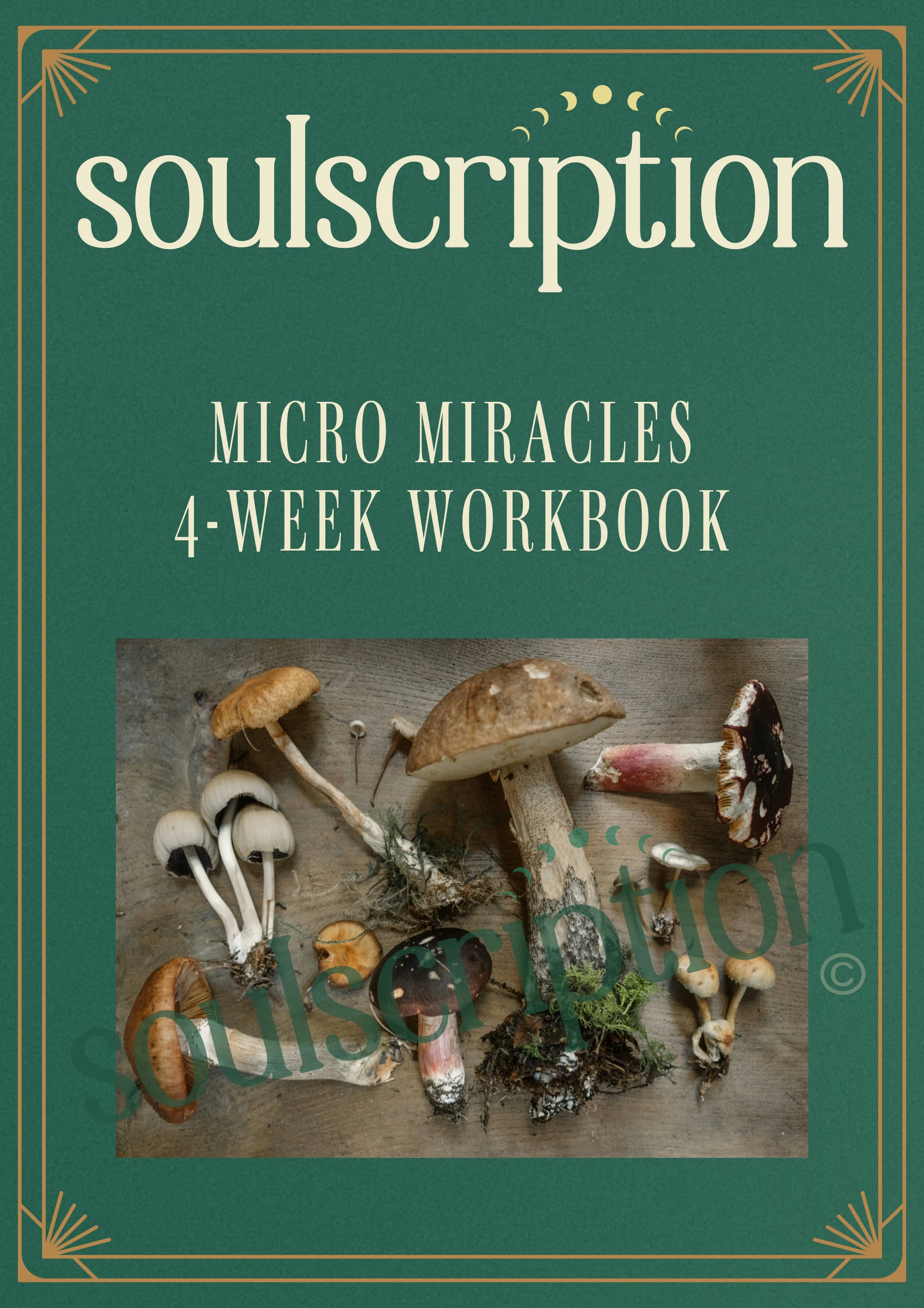 Soulscription 4-Week Microdosing Workbook Part 1-1.jpg