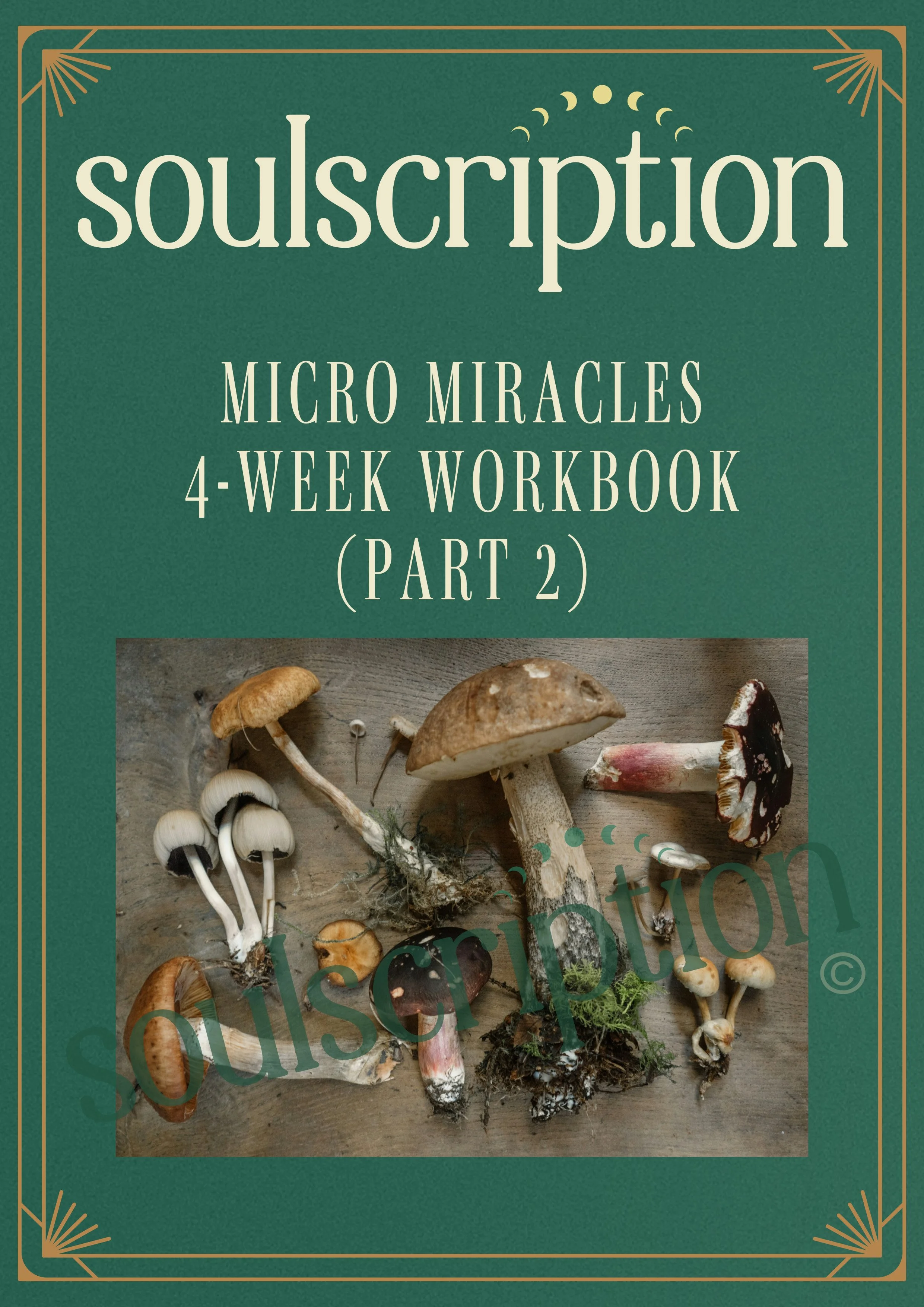Soulscription 4-Week Microdosing Workbook Part 2-1.jpg