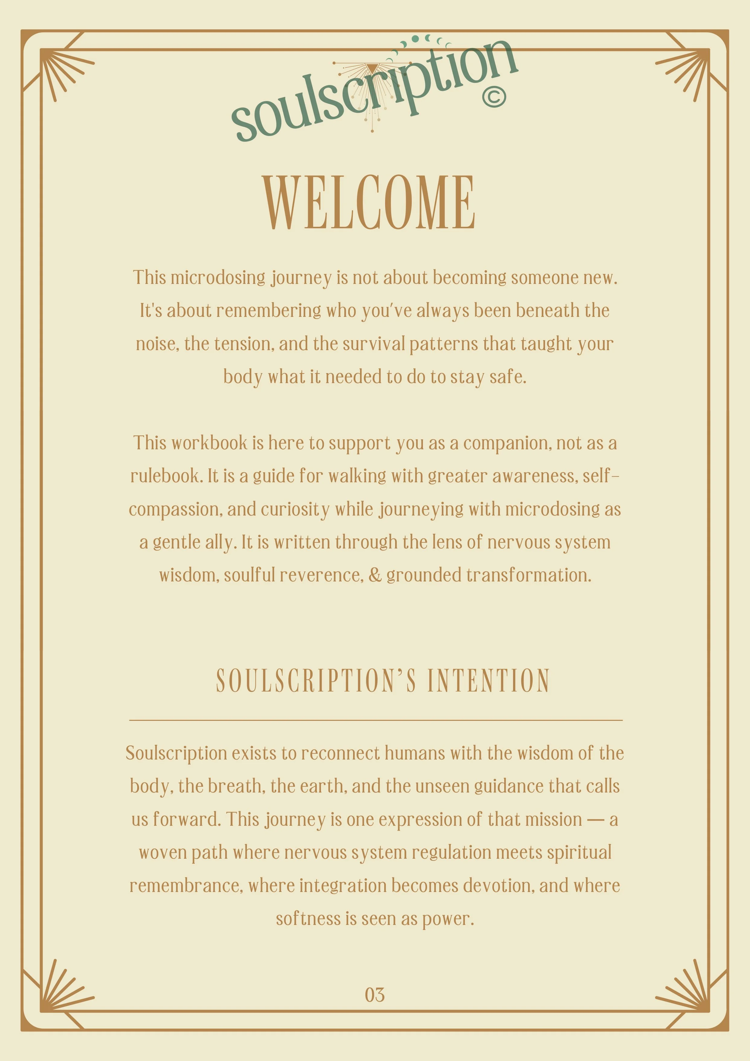 Soulscription 4-Week Microdosing Workbook Part 1-3.jpg