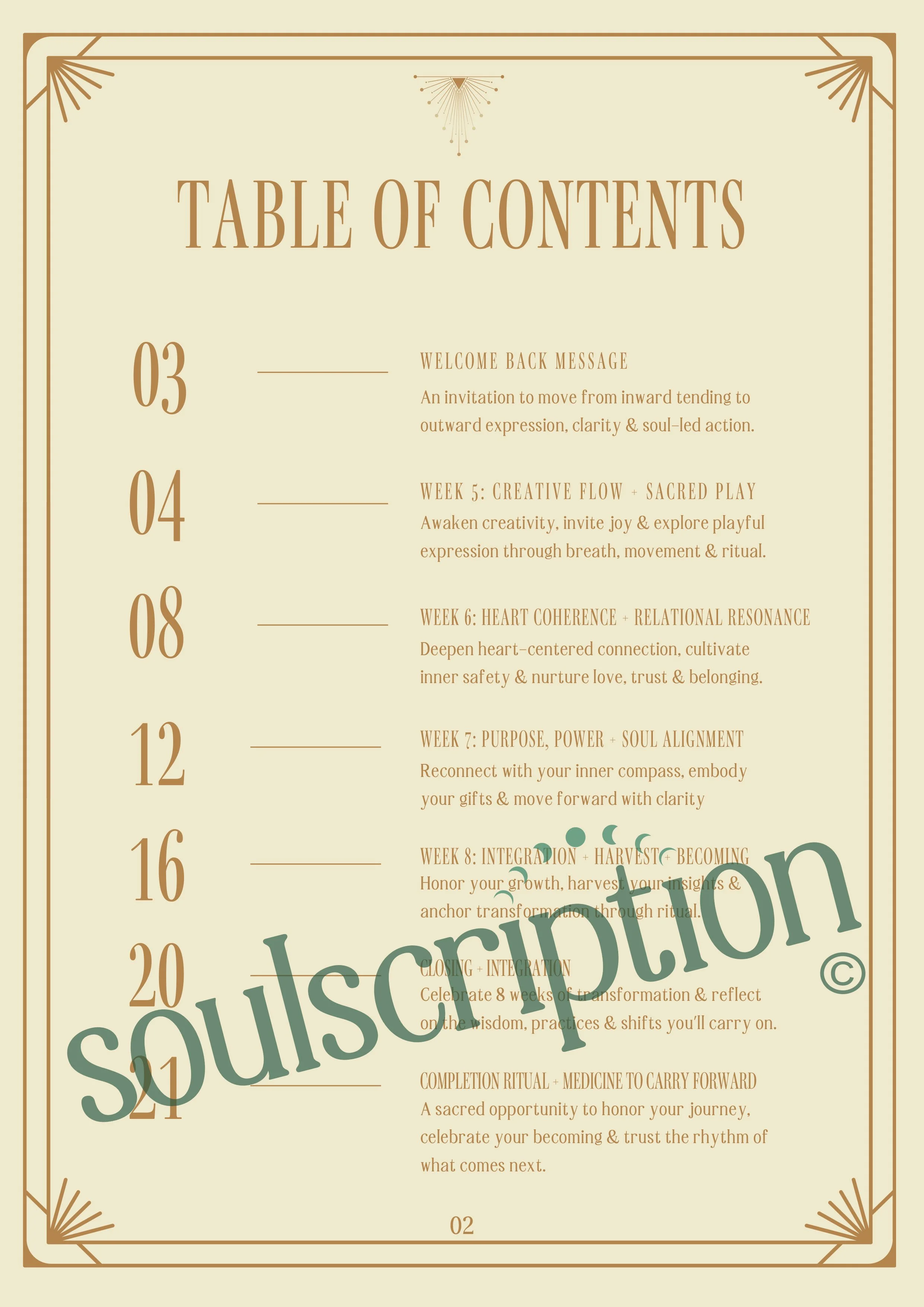 Soulscription 4-Week Microdosing Workbook Part 2-2.jpg