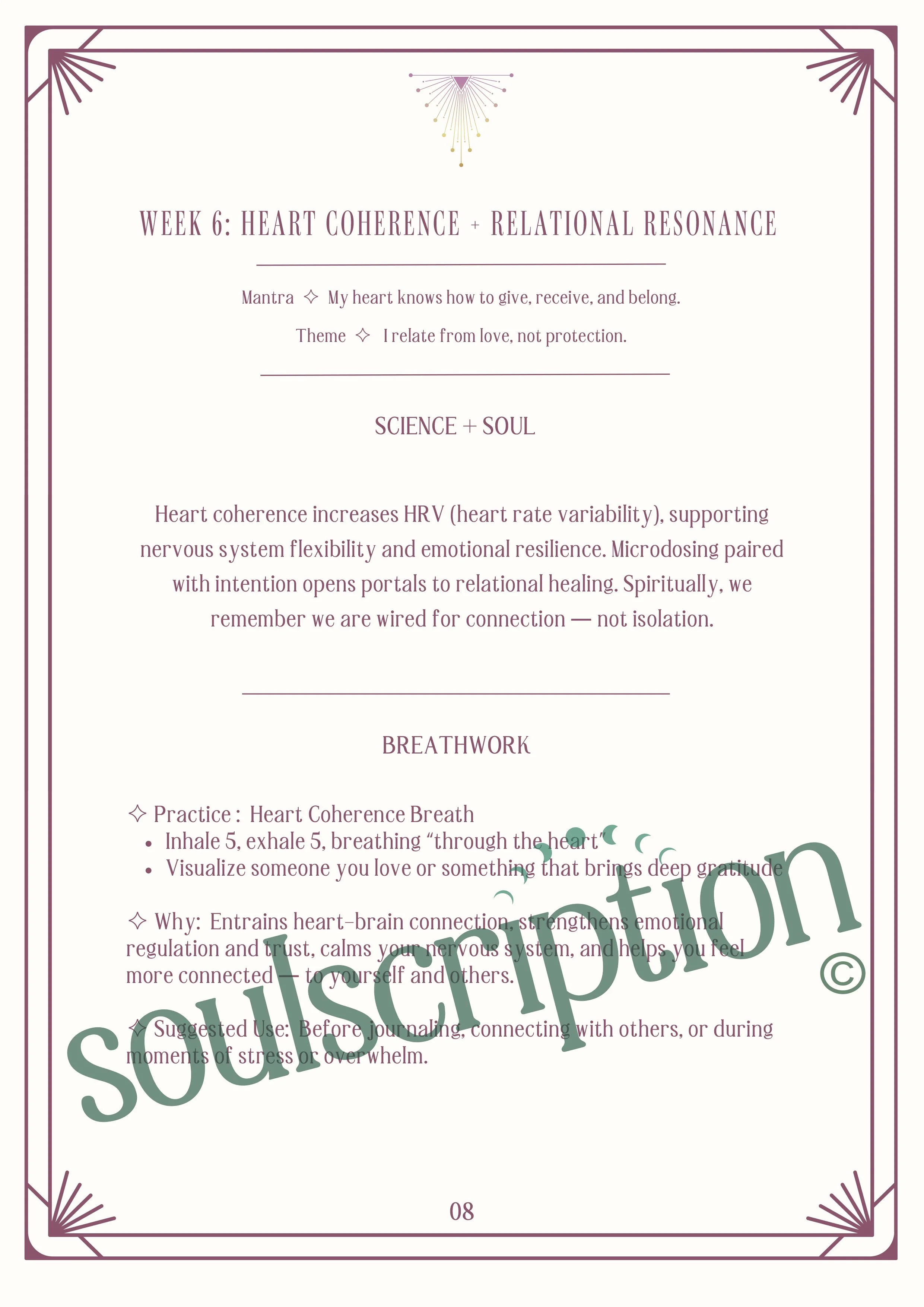 Soulscription 4-Week Microdosing Workbook Part 2-8.jpg
