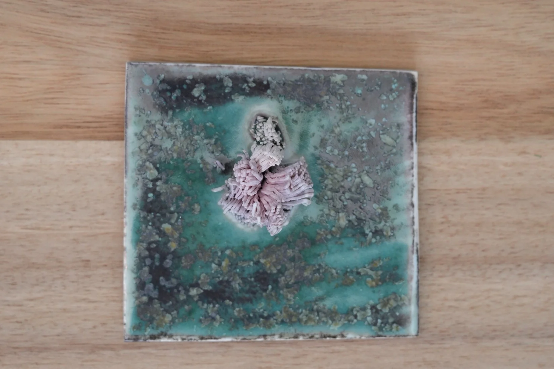 Tile: 5 - £35