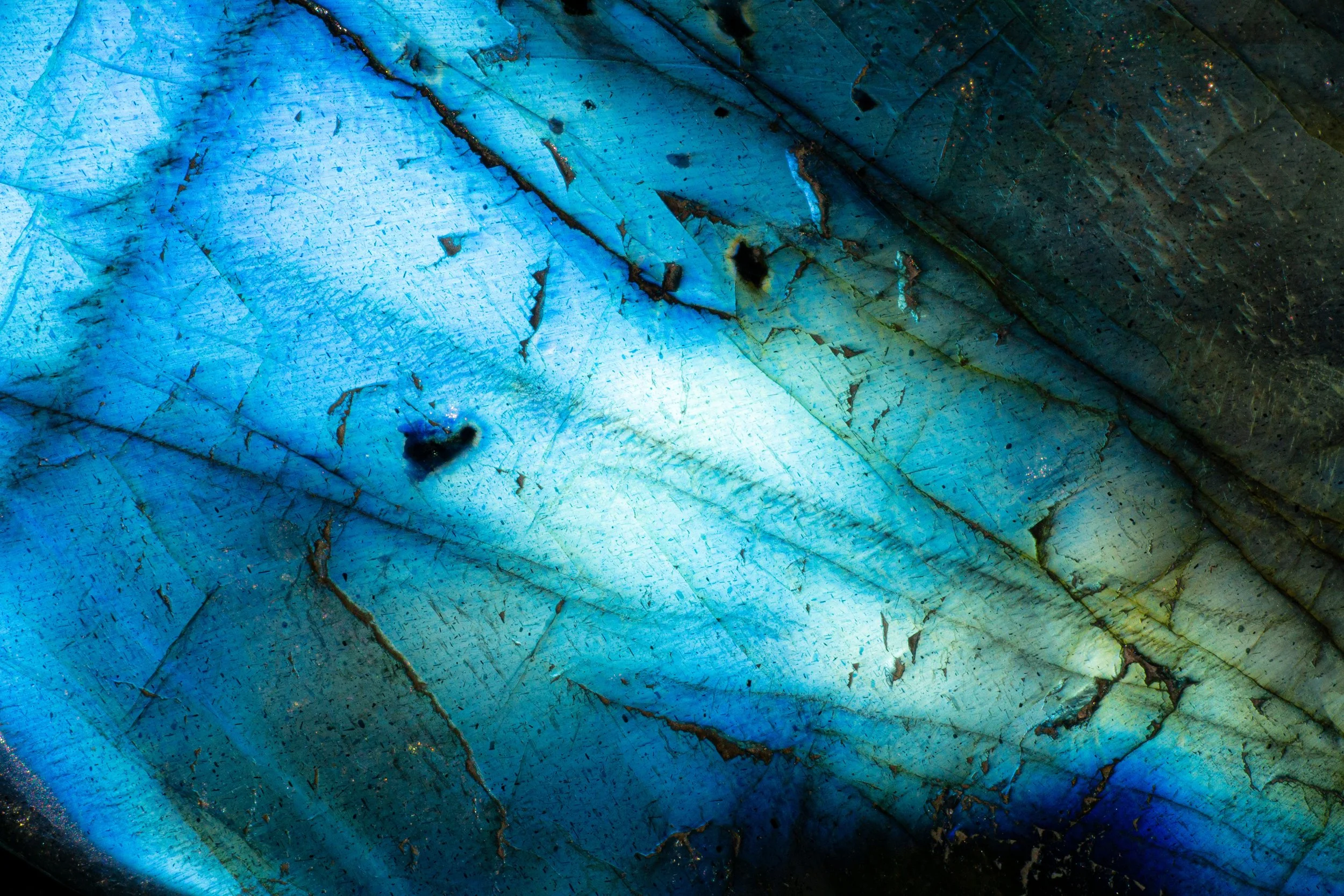 AdobeStock_371330816.jpeg