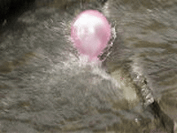 x254.gif