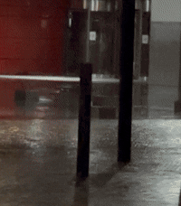 x209.gif