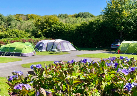 Is this the best family campsite in the UK?
