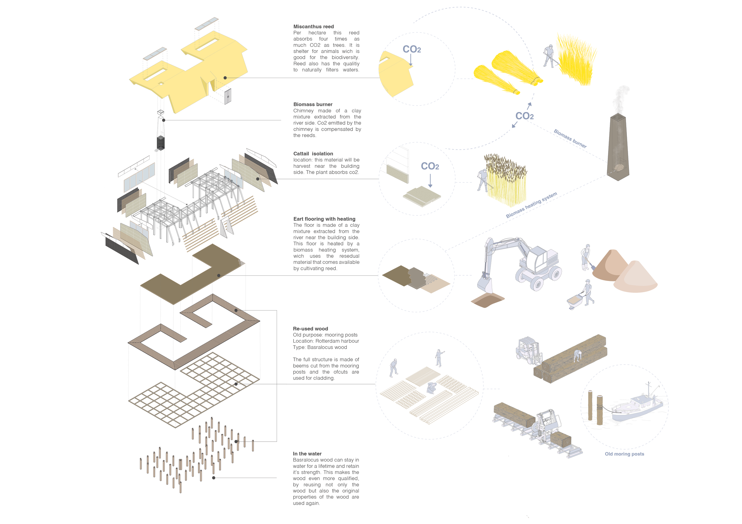 Reed farm [P0.2] — Studio Lotek - Material Research + Spatial Design